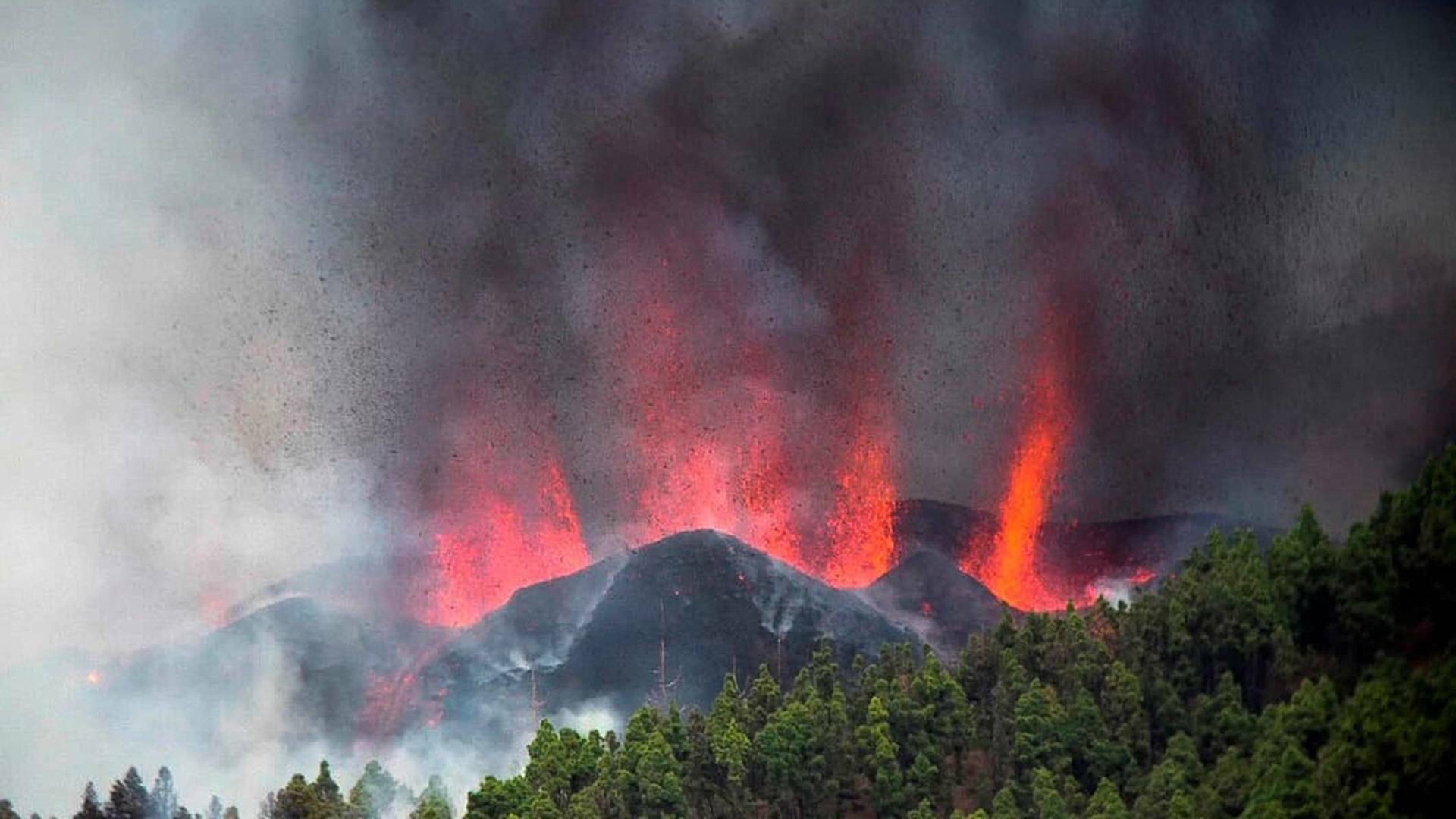 Después del Volcán: las voces y los ecos