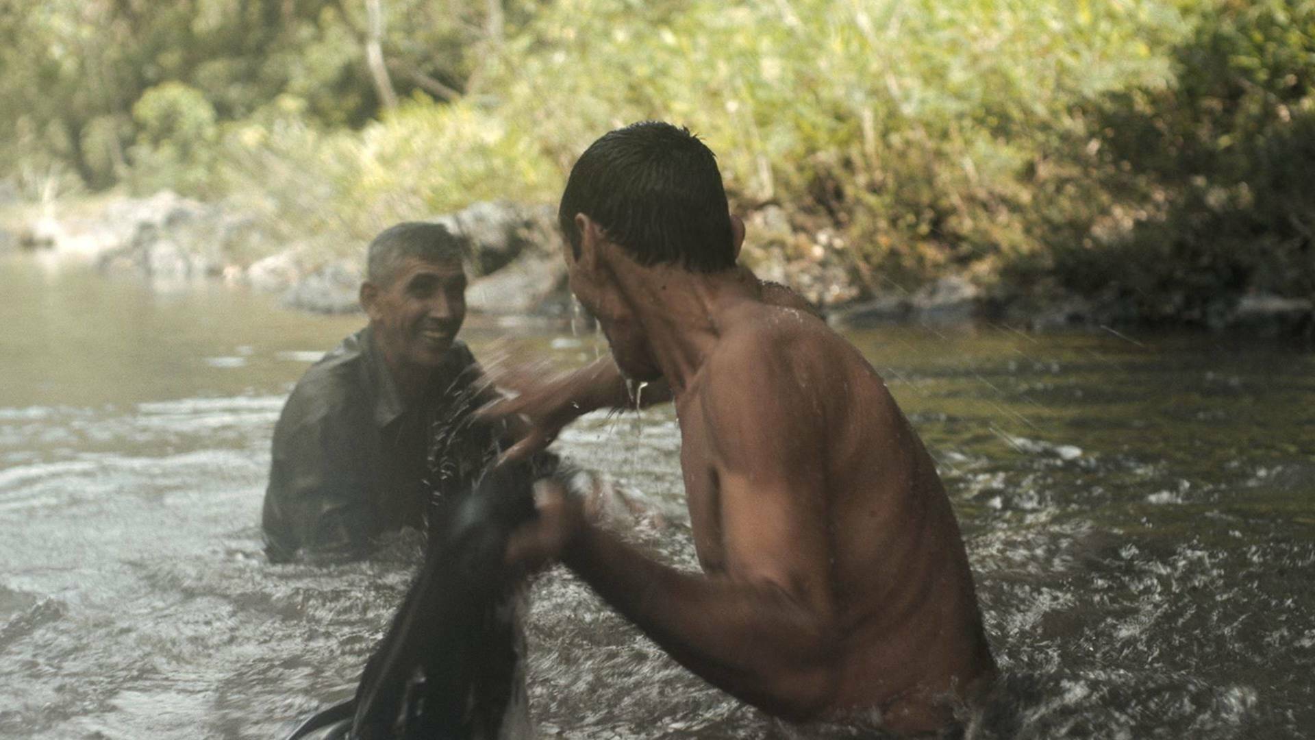 Entre perro y lobo