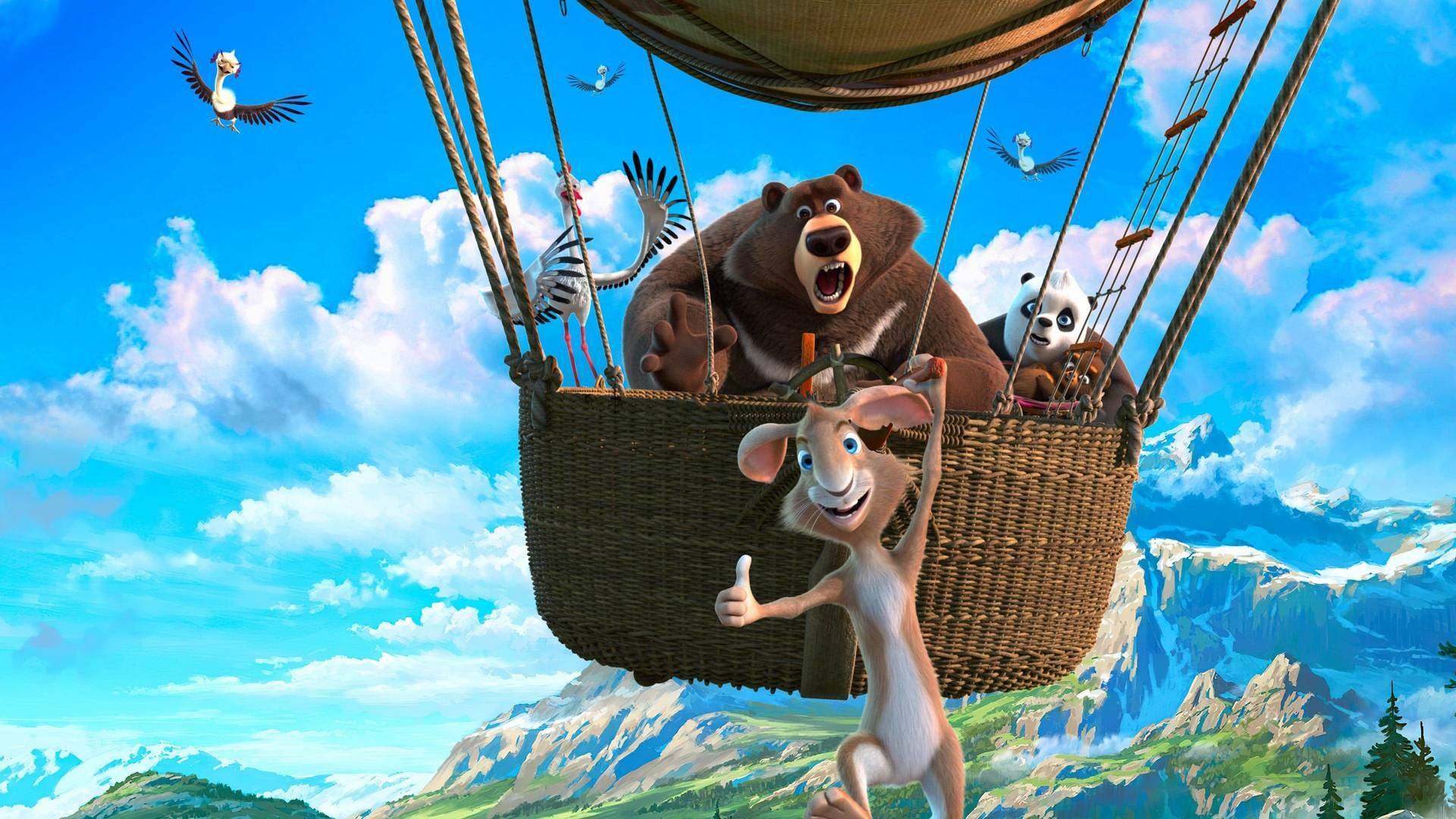 Operación bebé oso