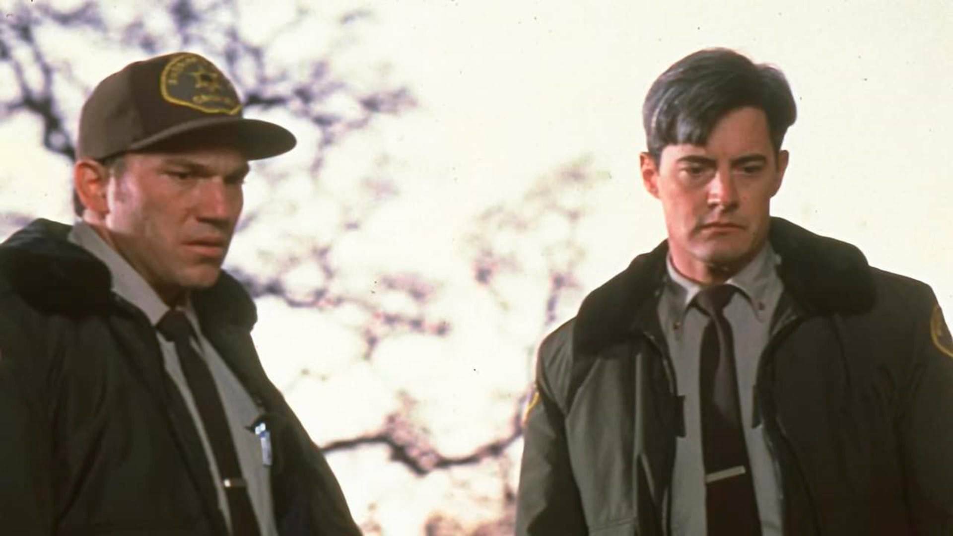 Tierra del crimen