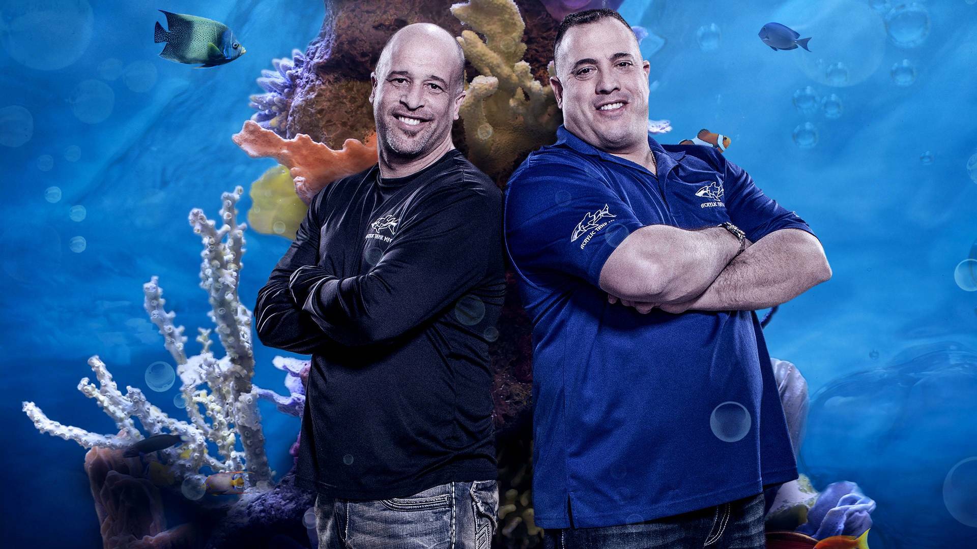 Acuarios XXL: Un acuario para Mel's Drive In