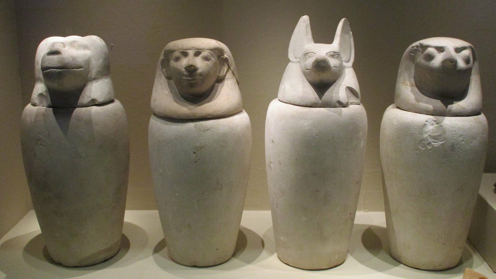 Misterios en el museo: Foo Fighters y más