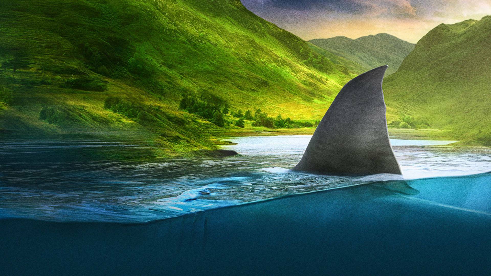 Tiburones en la costa (T1)