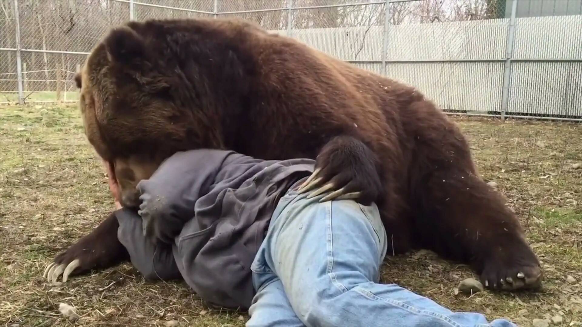 Te lo dije (T5): Selección natural