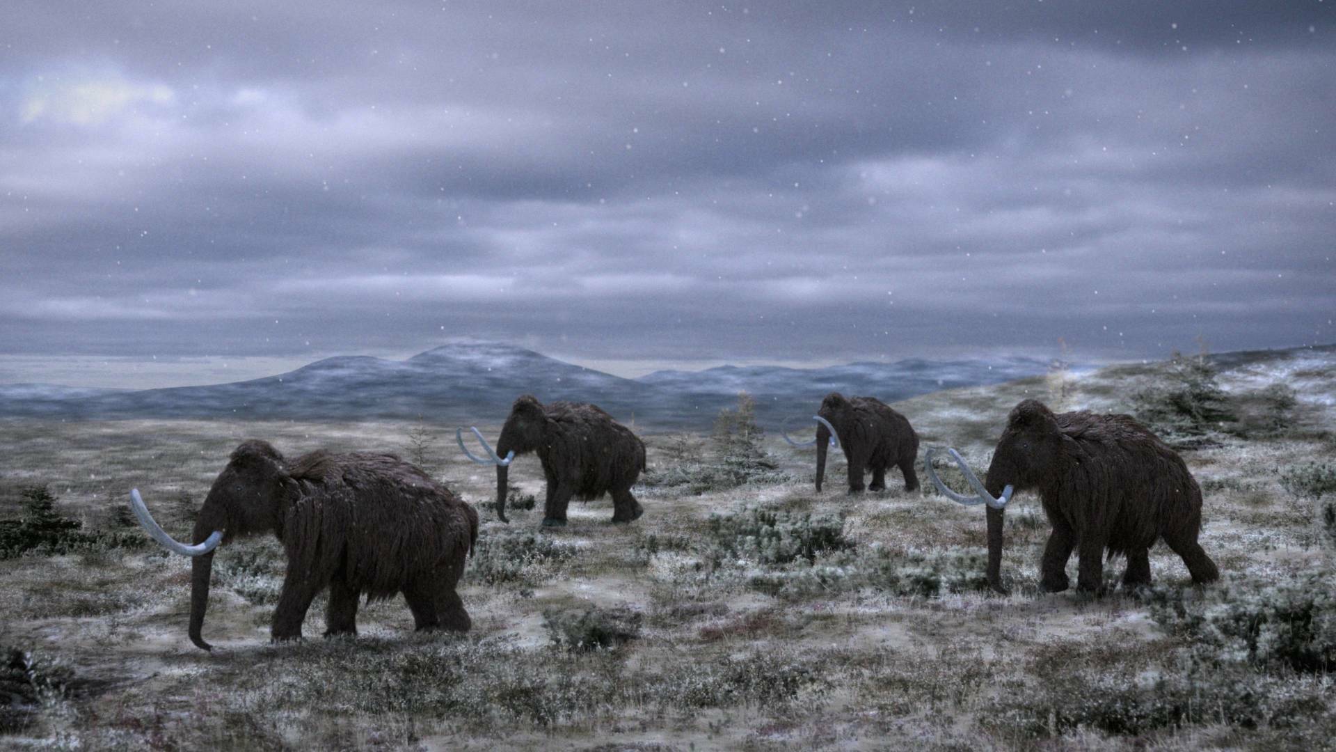 Bestias de la edad de hielo