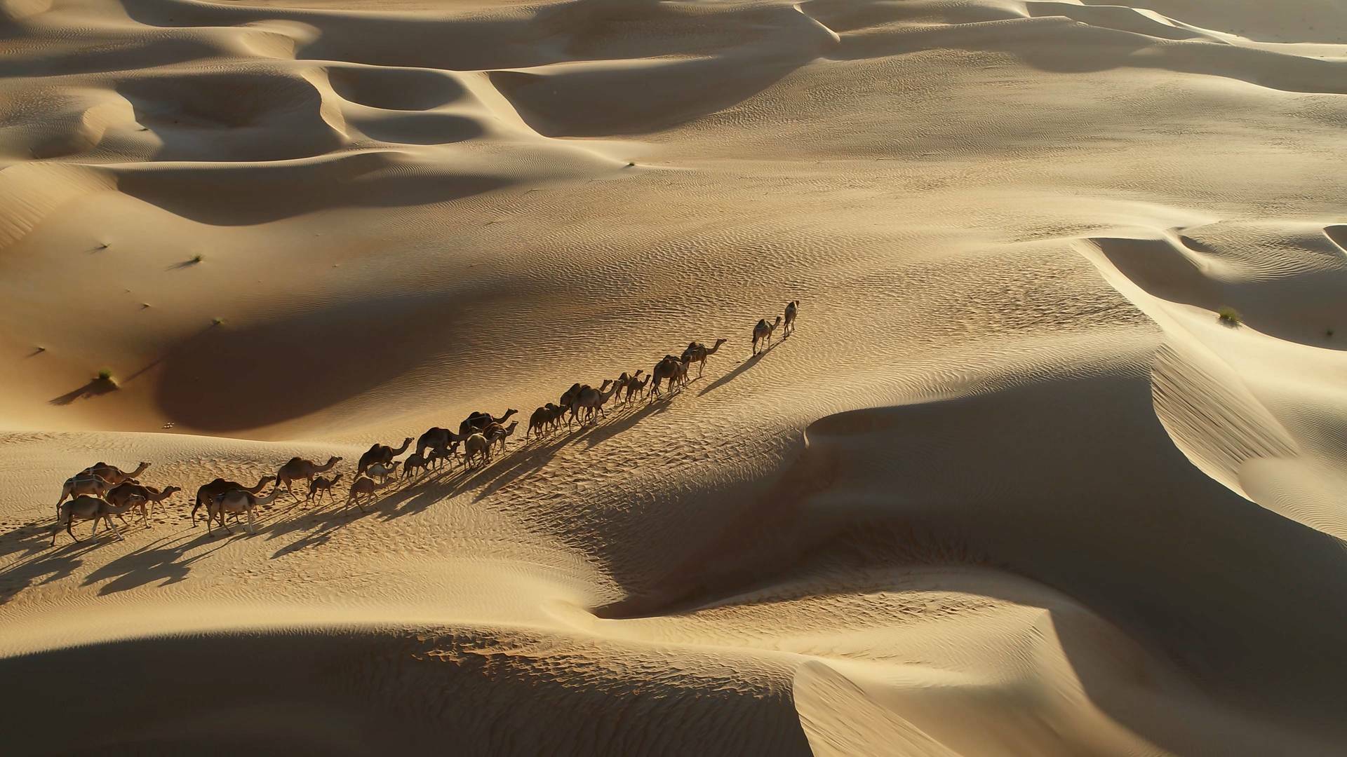 Secretos en la arena