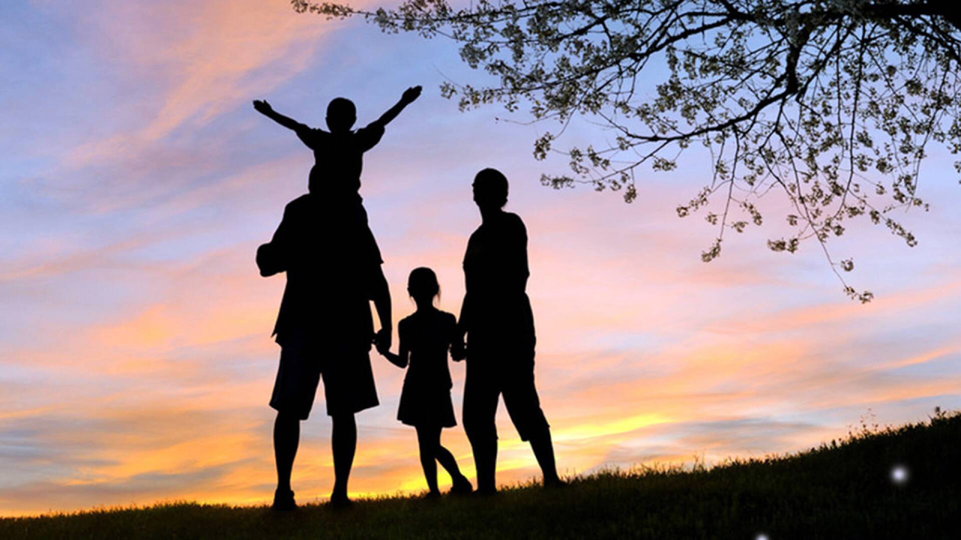 La Doña (T1): Ep.197 