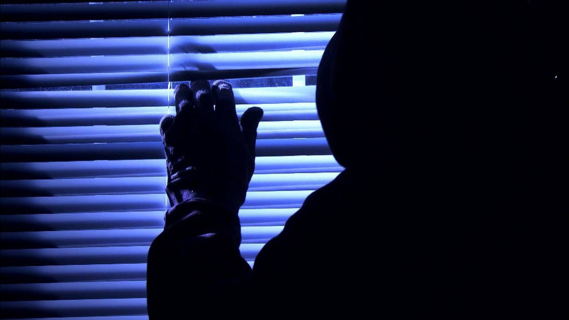 El asesino de al lado: Asesinato 101