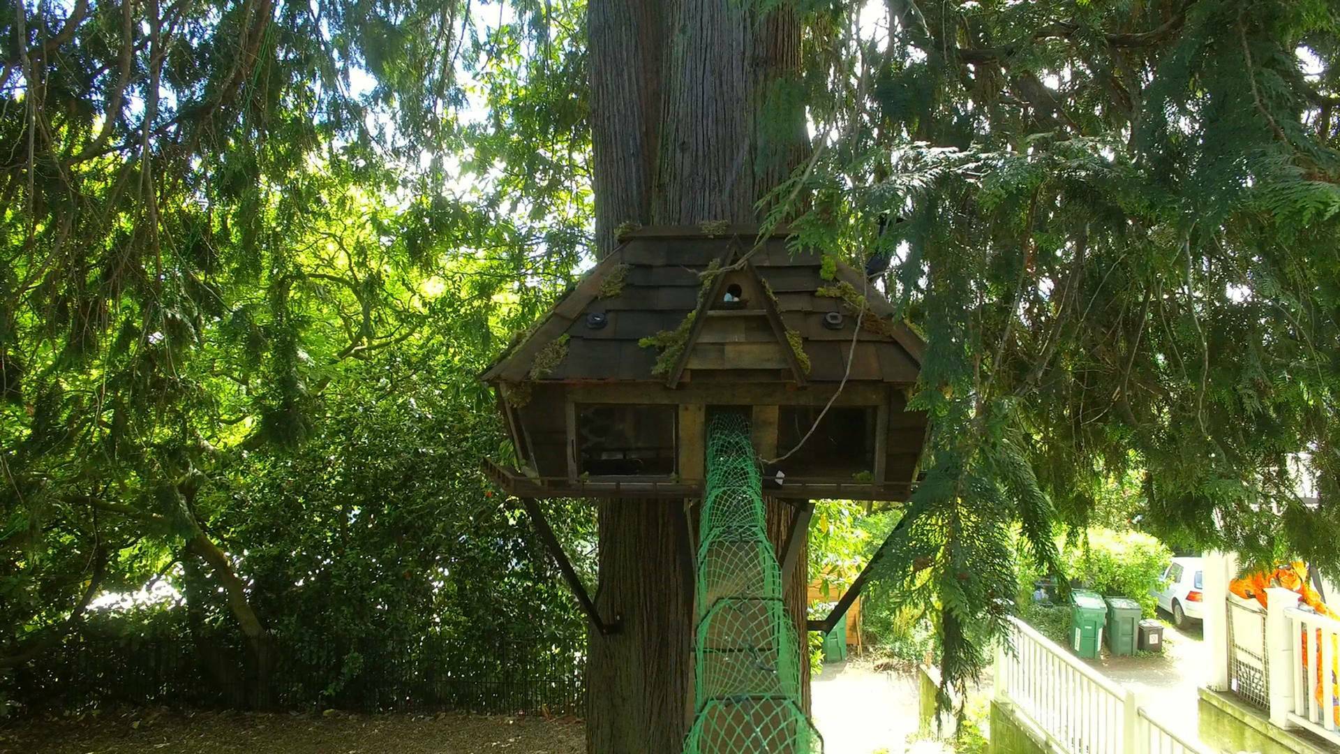 Supercasas para... (T1): Castillo para gatos