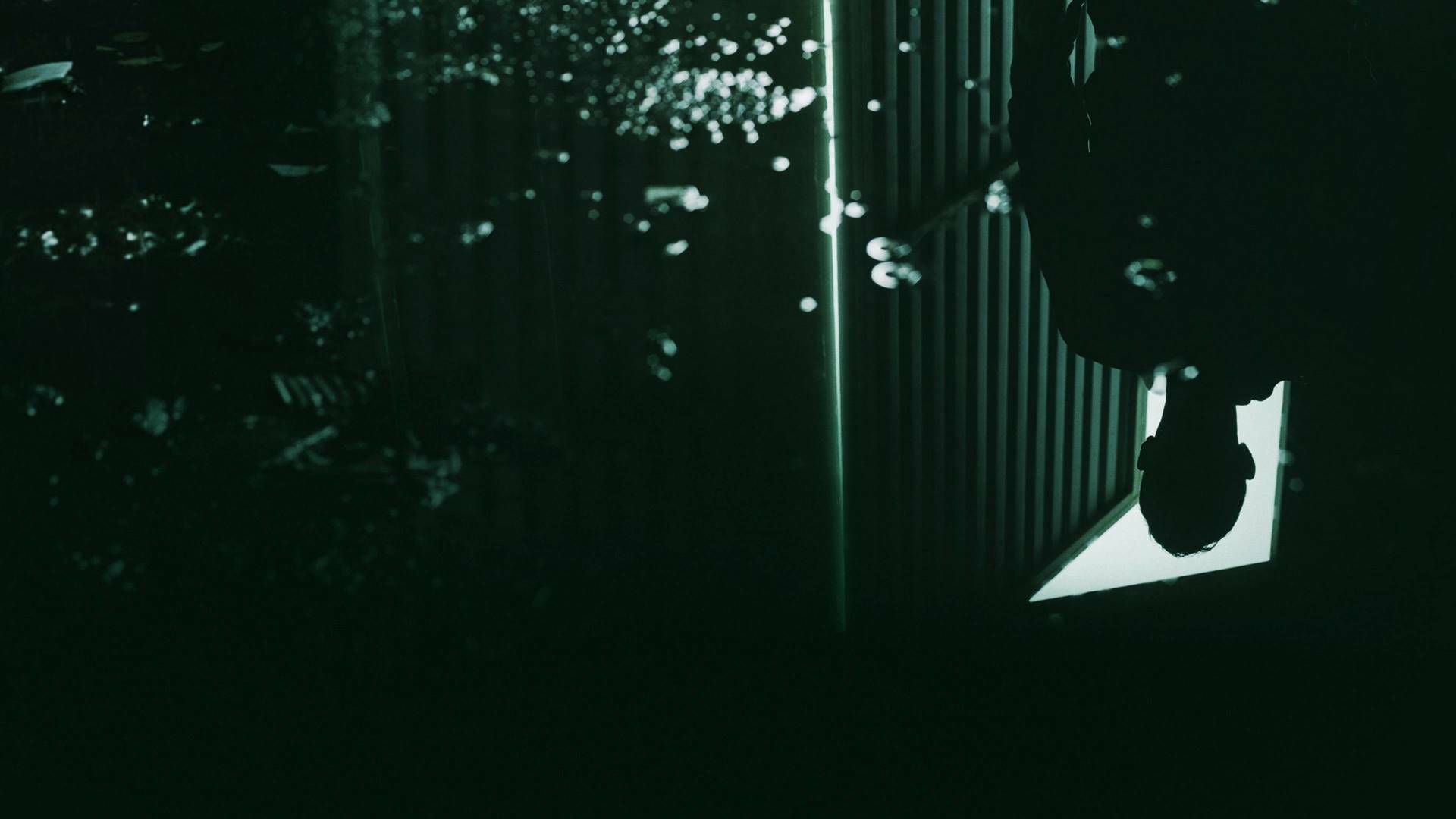 Cómo reconocer a... (T9): Ep.6 