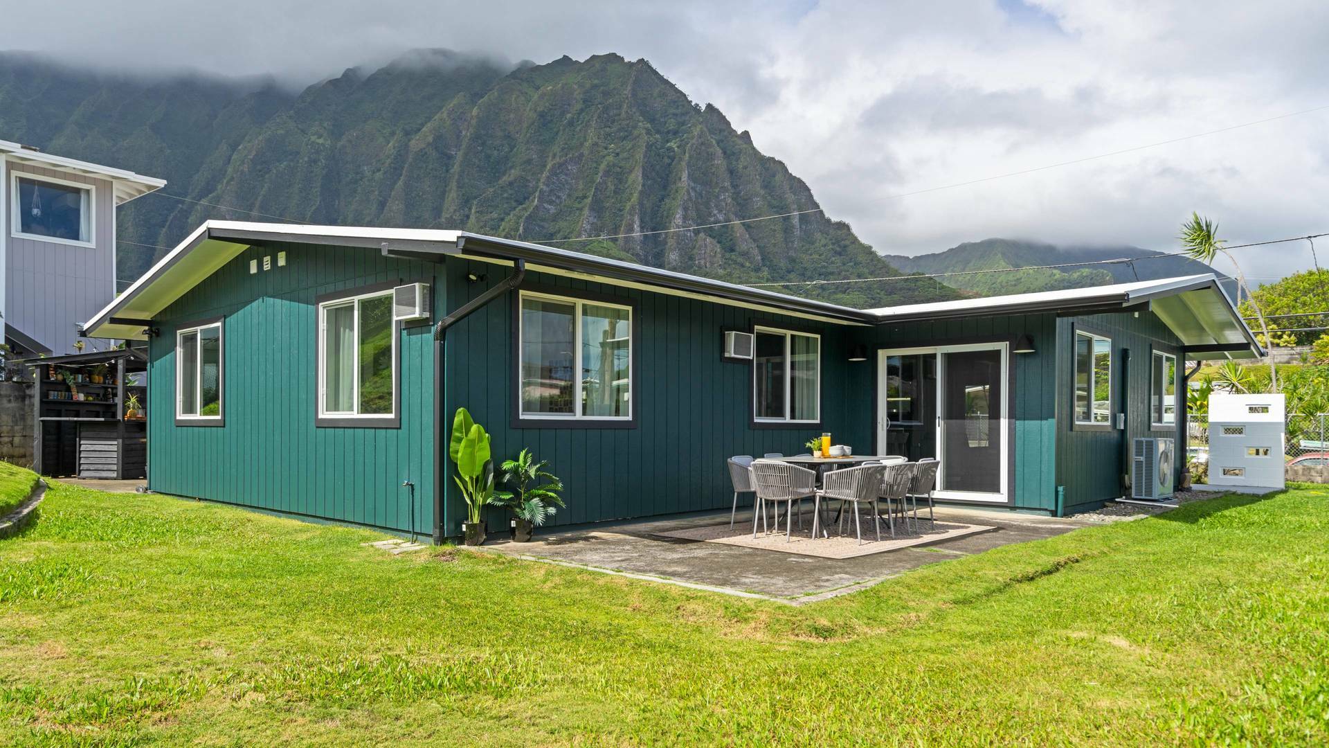 Renovación ¡Aloha! (T2): Mold in Manoa