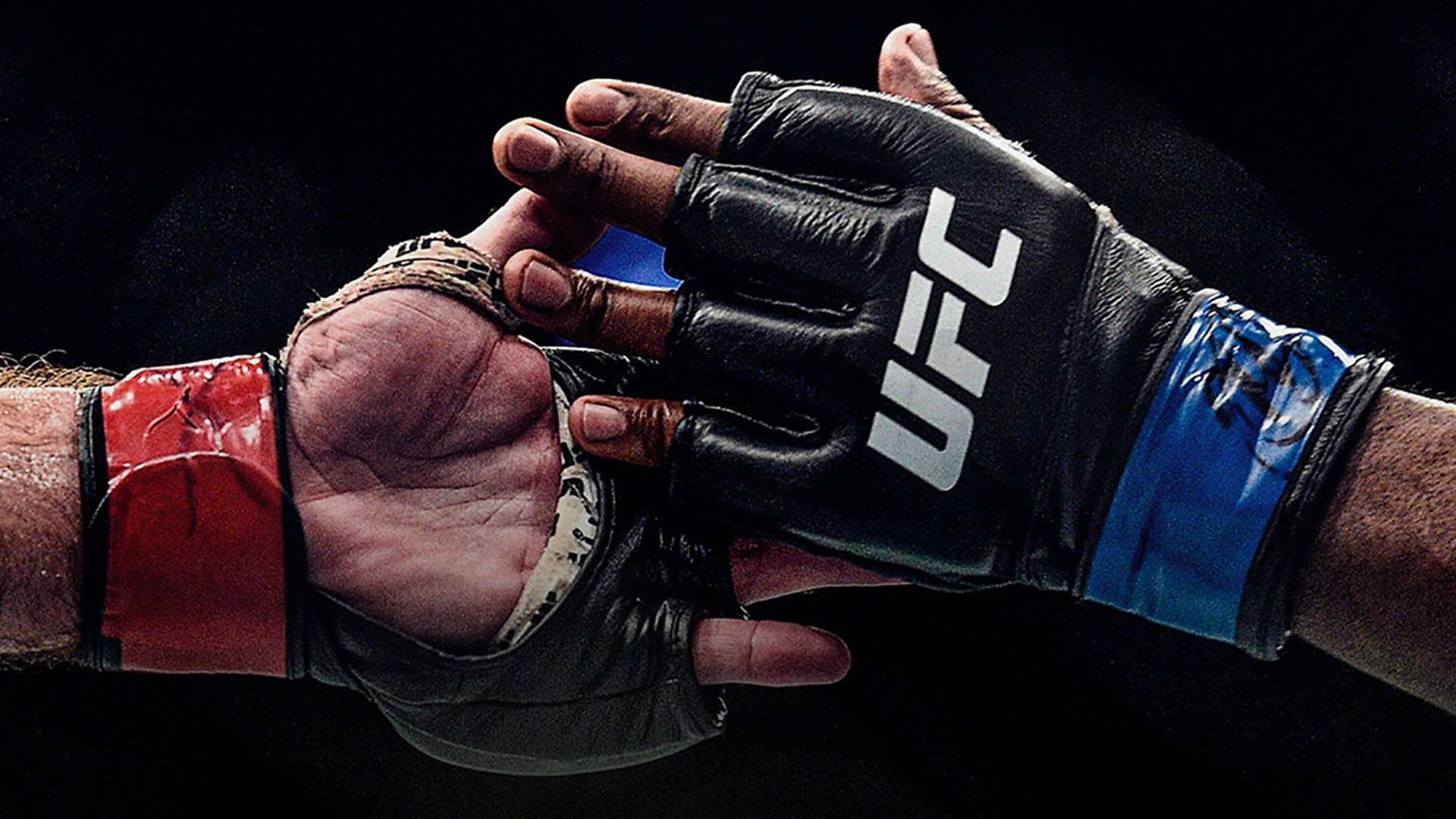 UFC Fight Night: Blanchfield vs Barber (2025)