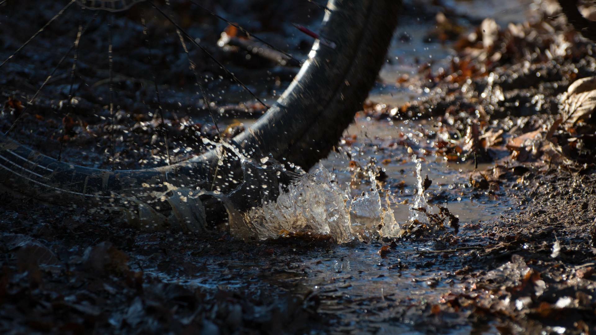 Ciclocross... (25/26): Carrera M