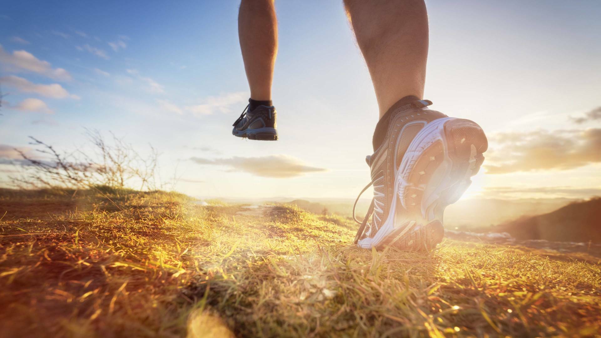 Golden Trail... (2025): Gran Muralla - Resumen