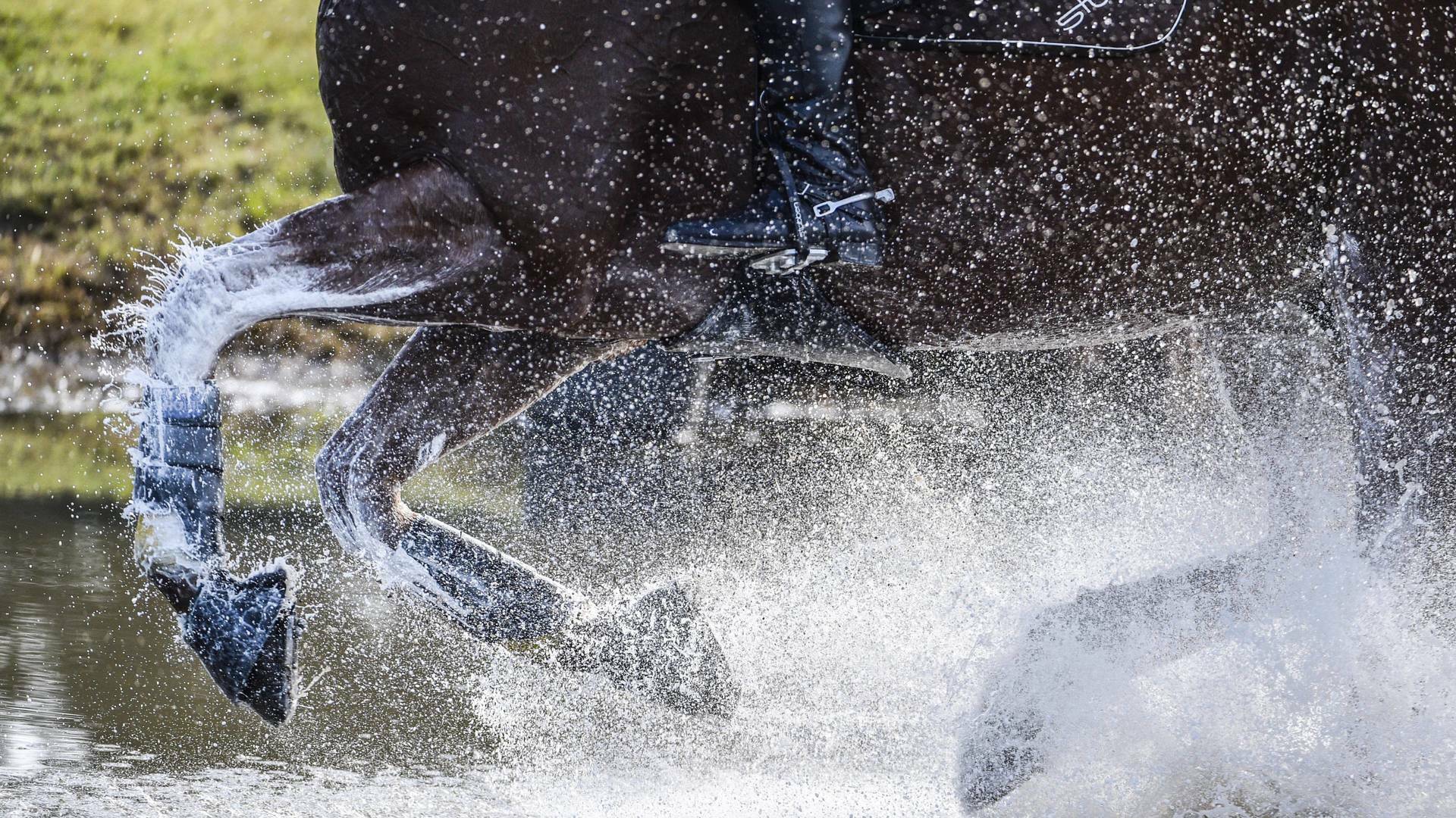 AlUla Desert Polo - Resumen