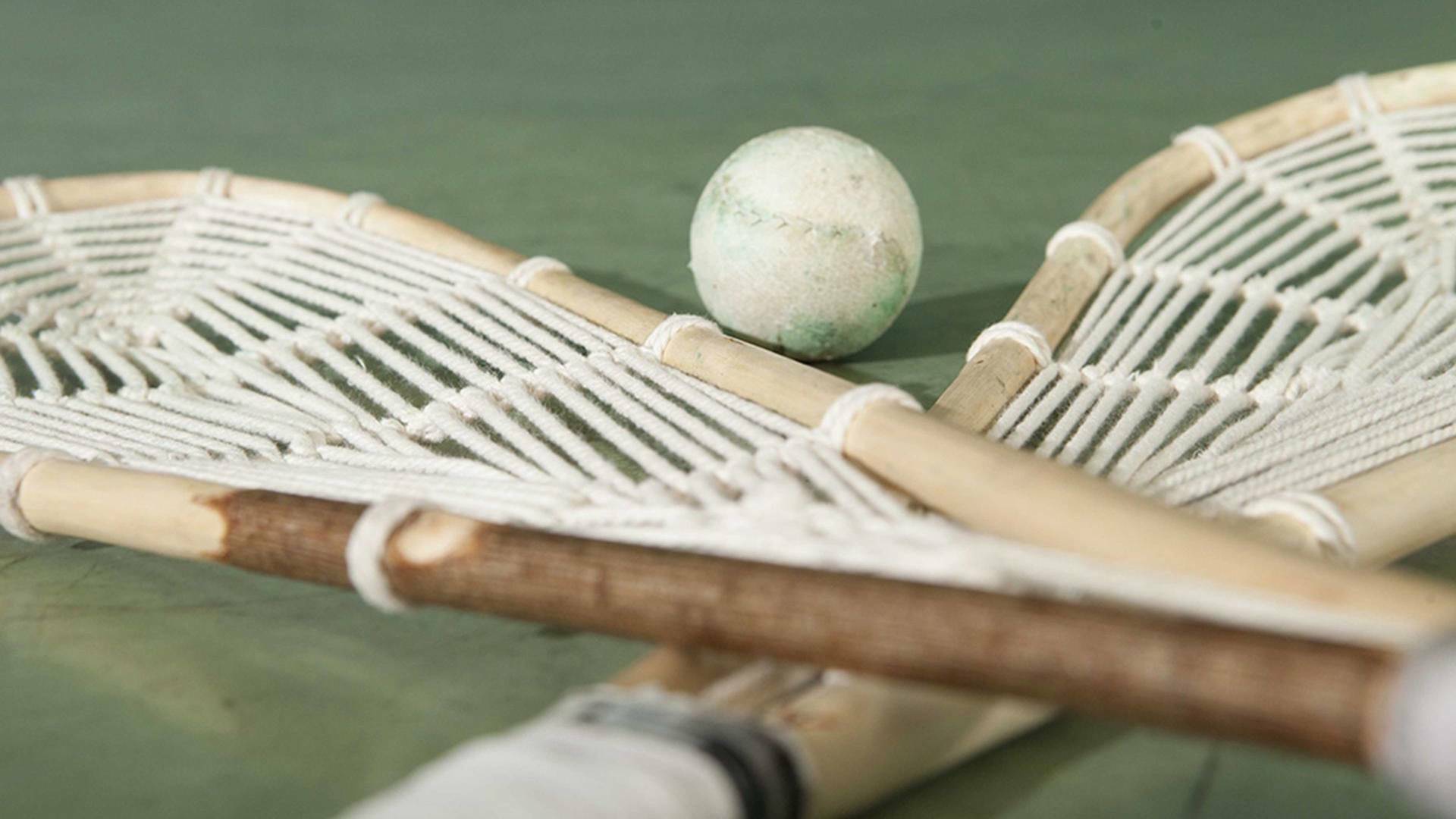 Pilota