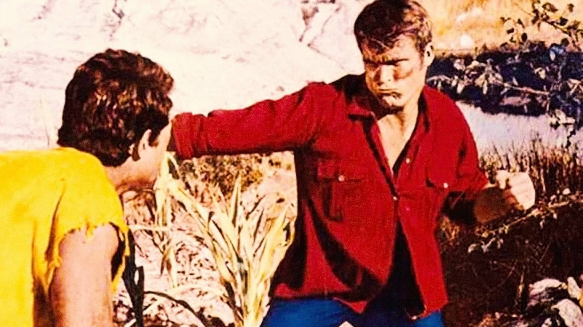El hombre del valle maldito