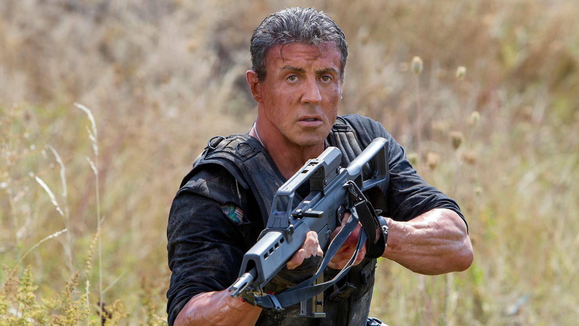 Los mercenarios 3