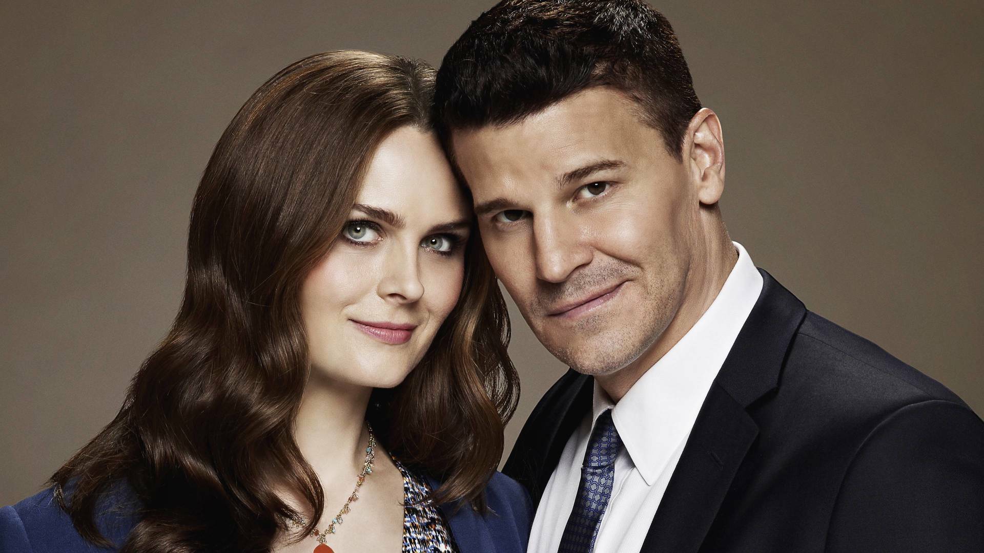 Bones (T11): Ep.19 La cabeza en el contrafuerte
