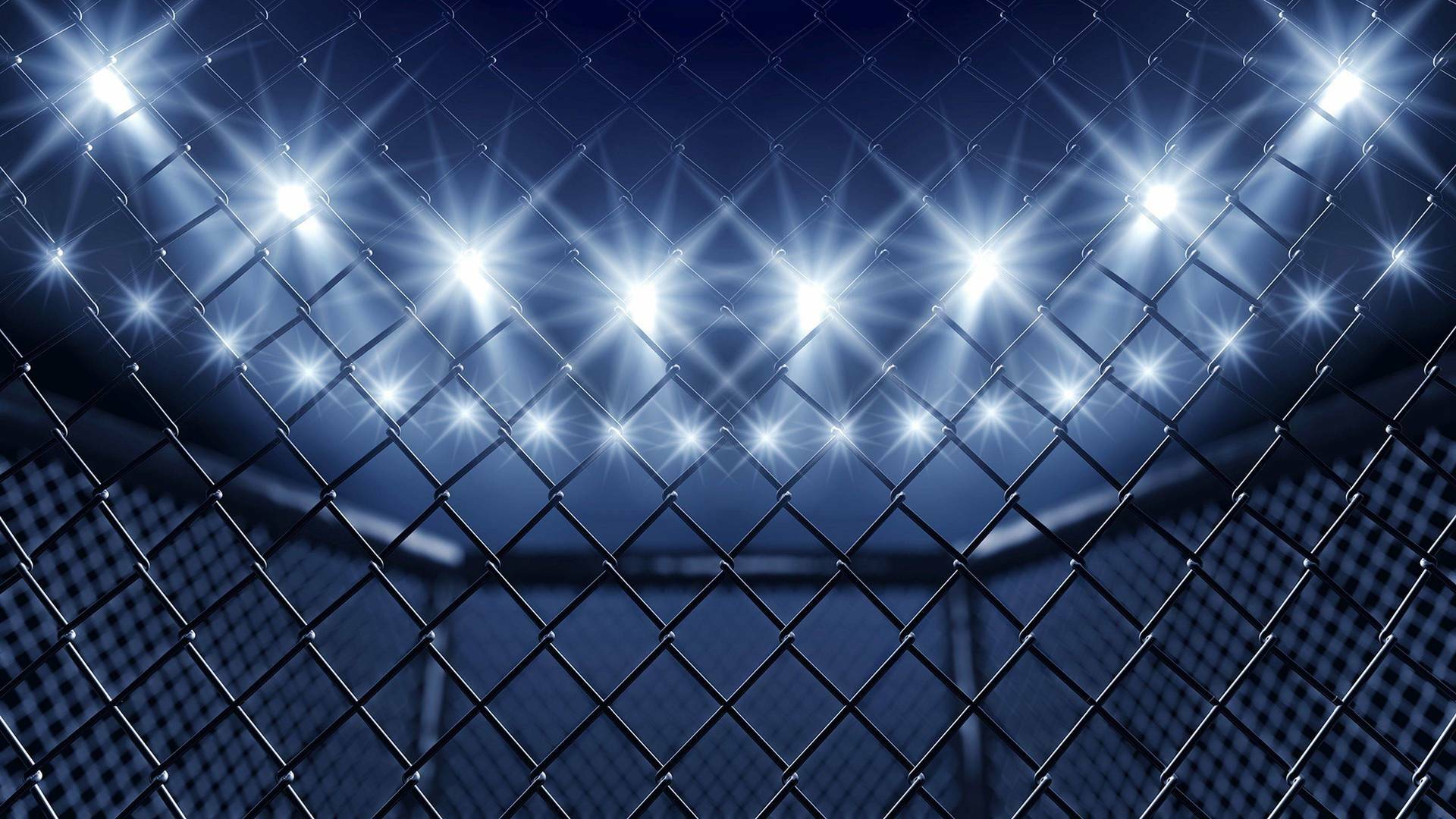 Ultimate Fighting Championship