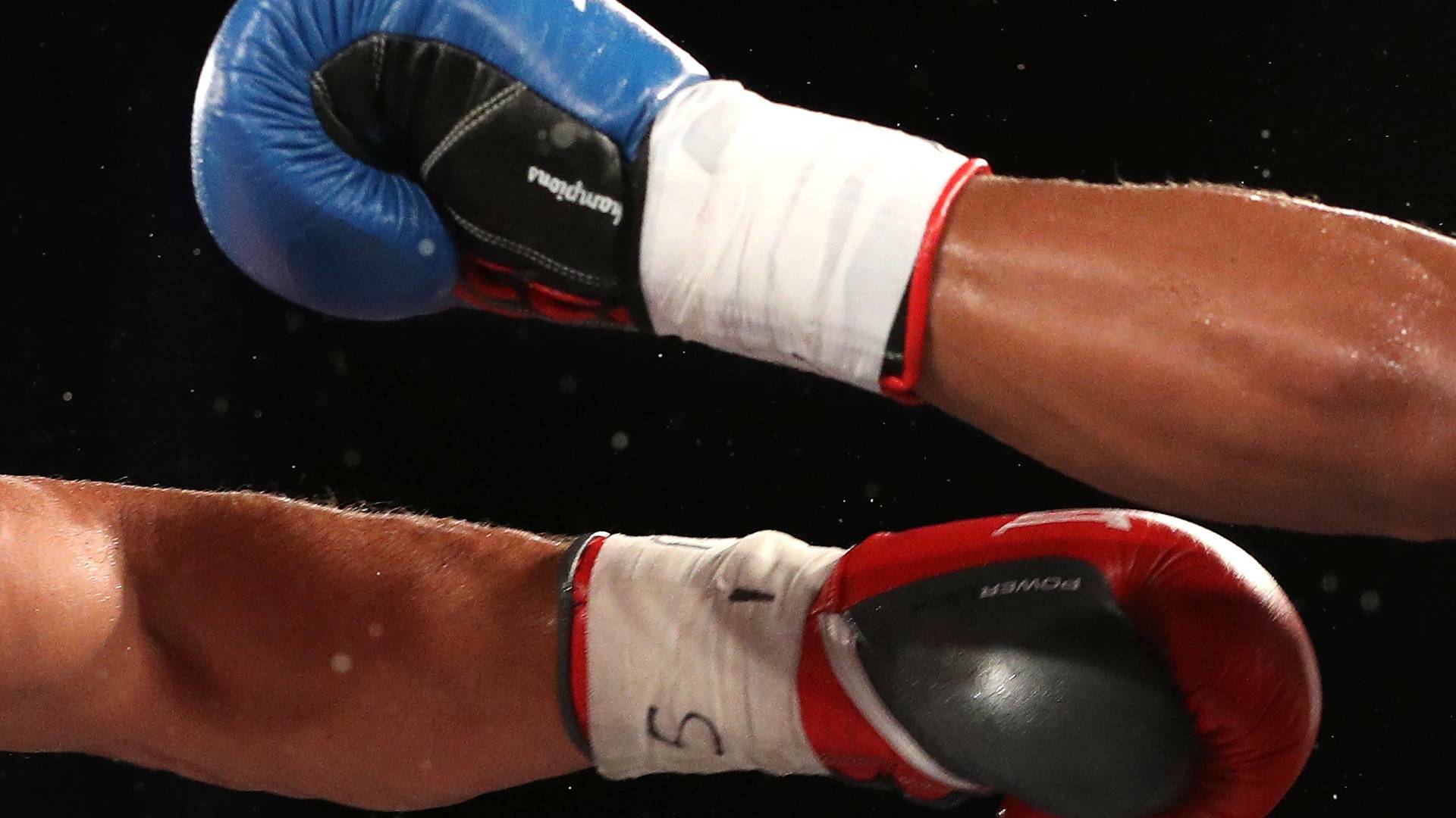 UFC 216: Ferguson vs Lee (2017)