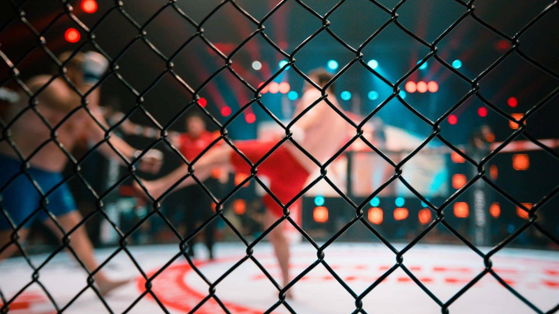 UFC 232: Jones vs... (2018): Jon Jones vs Alexander Gustafsson
