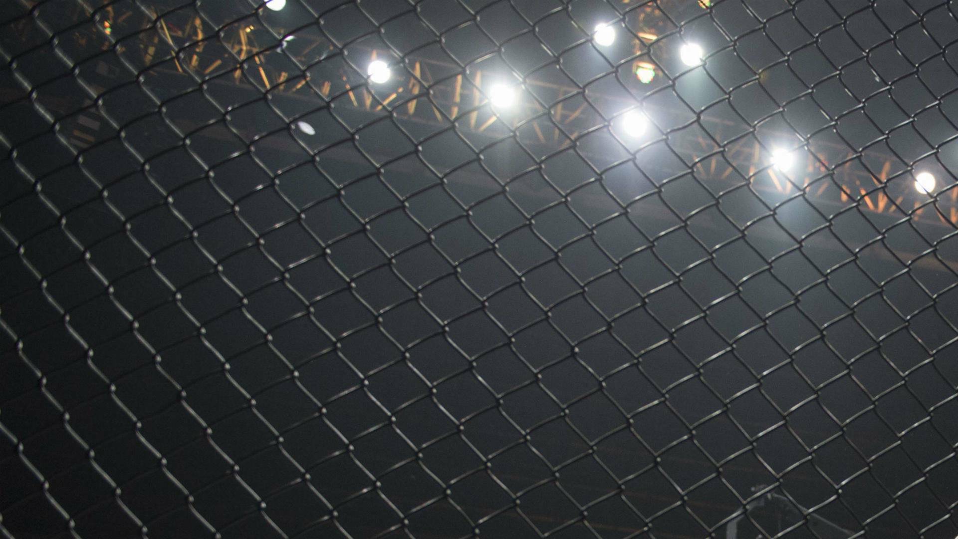 UFC 110: Nogueira vs Velasquez (2010)