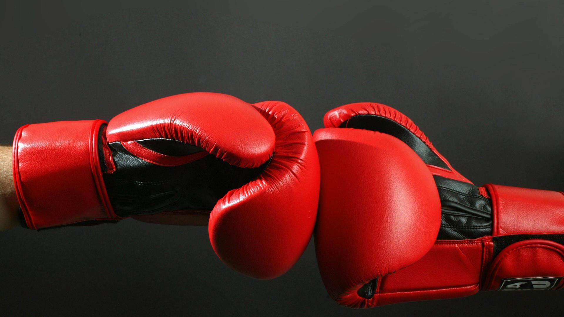 Boxeo: velada Martín vs Scarpa (2019)
