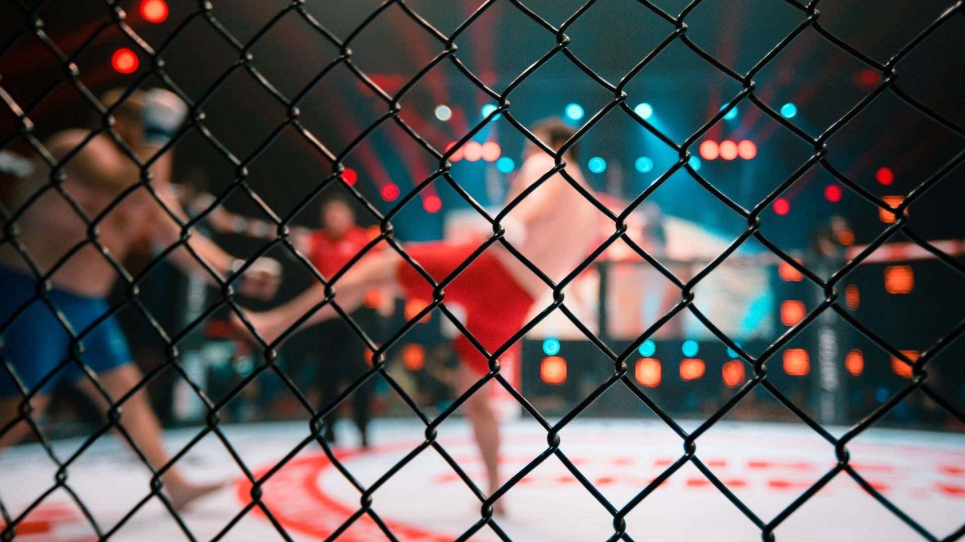 UFC 119: Mir vs... (2010): Frank Mir vs Mirko Cro Cop