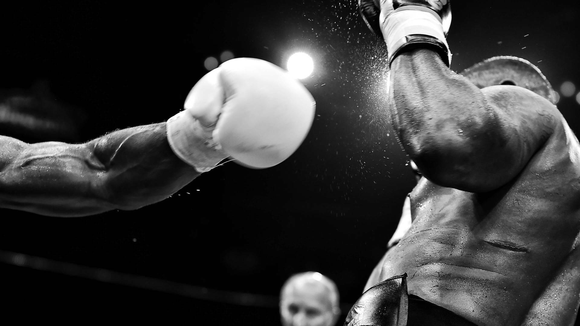 Boxeo: velada Golovkin vs Brook (2016)