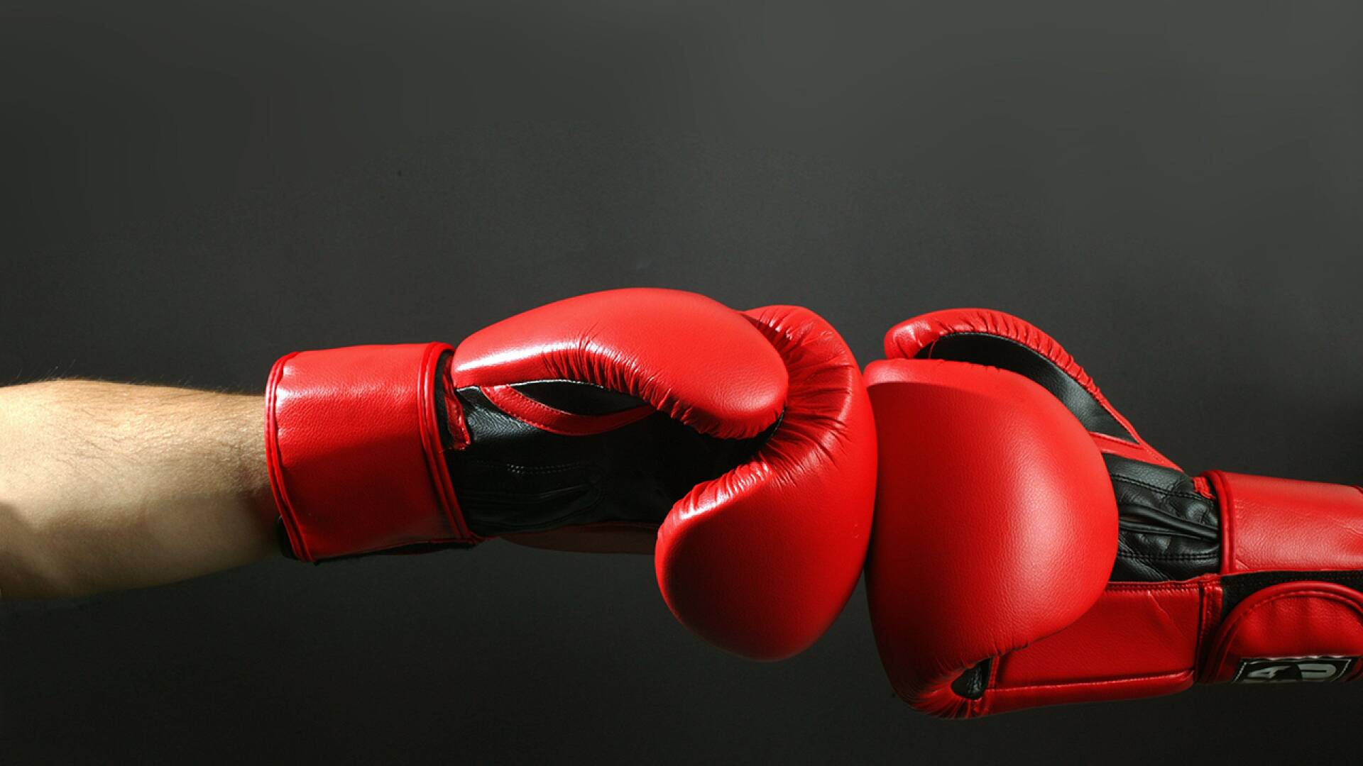 Boxeo: combate Mike Tyson vs Steve Zouski