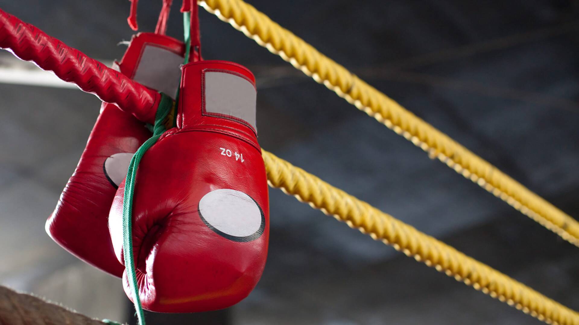 Boxeo: combate Tyson vs Tillis