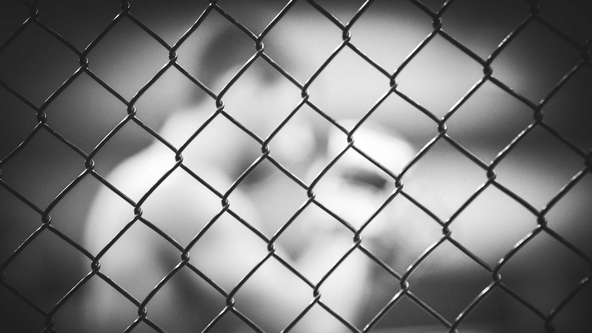 Lopes vs Silva (2025): Santiago Luna vs Quang Le