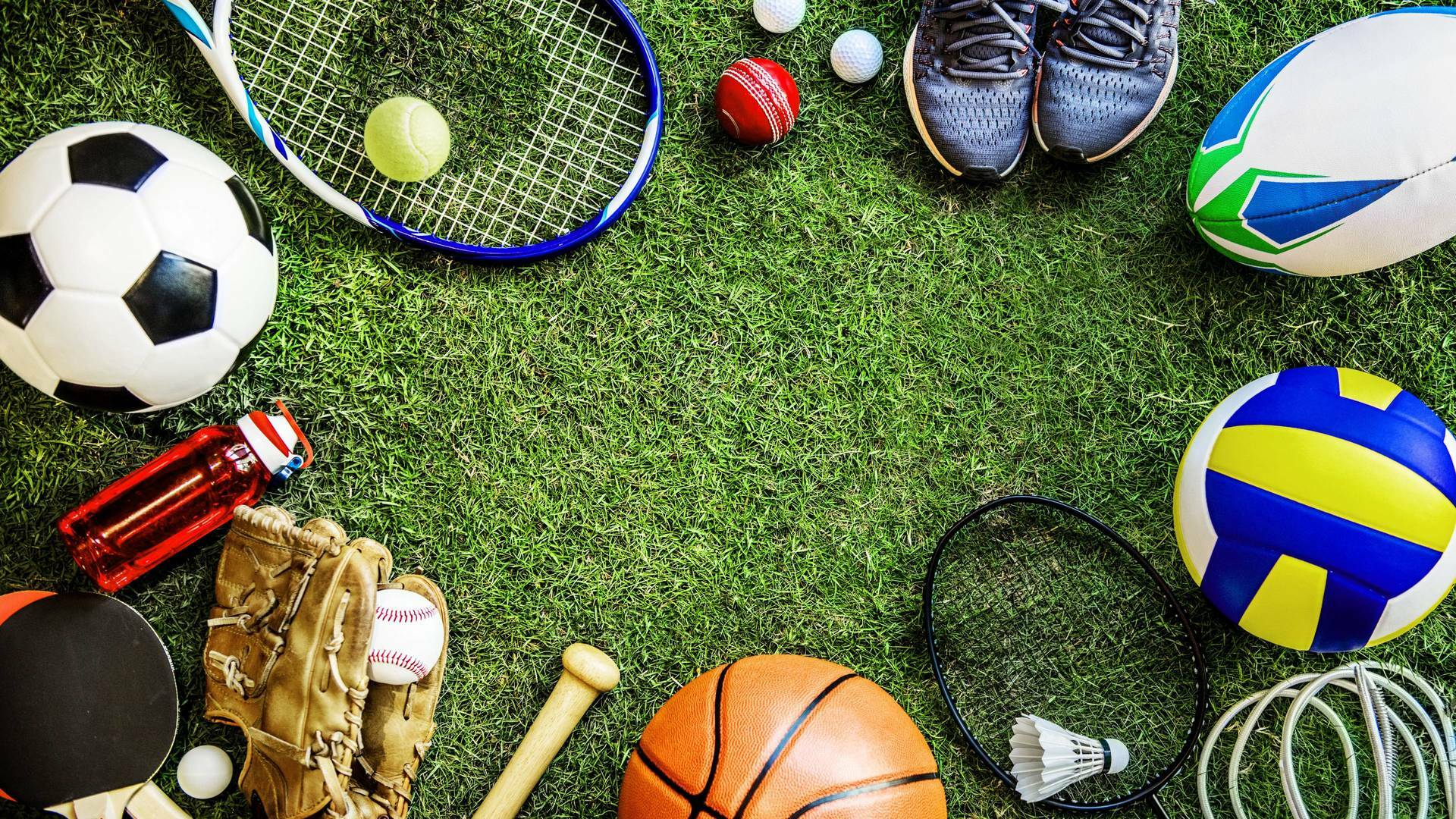 Reaction Sports (2026): Junio
