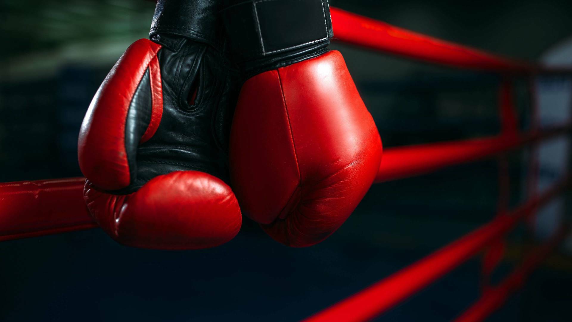 Boxeo: combate Muhammad vs Braxton