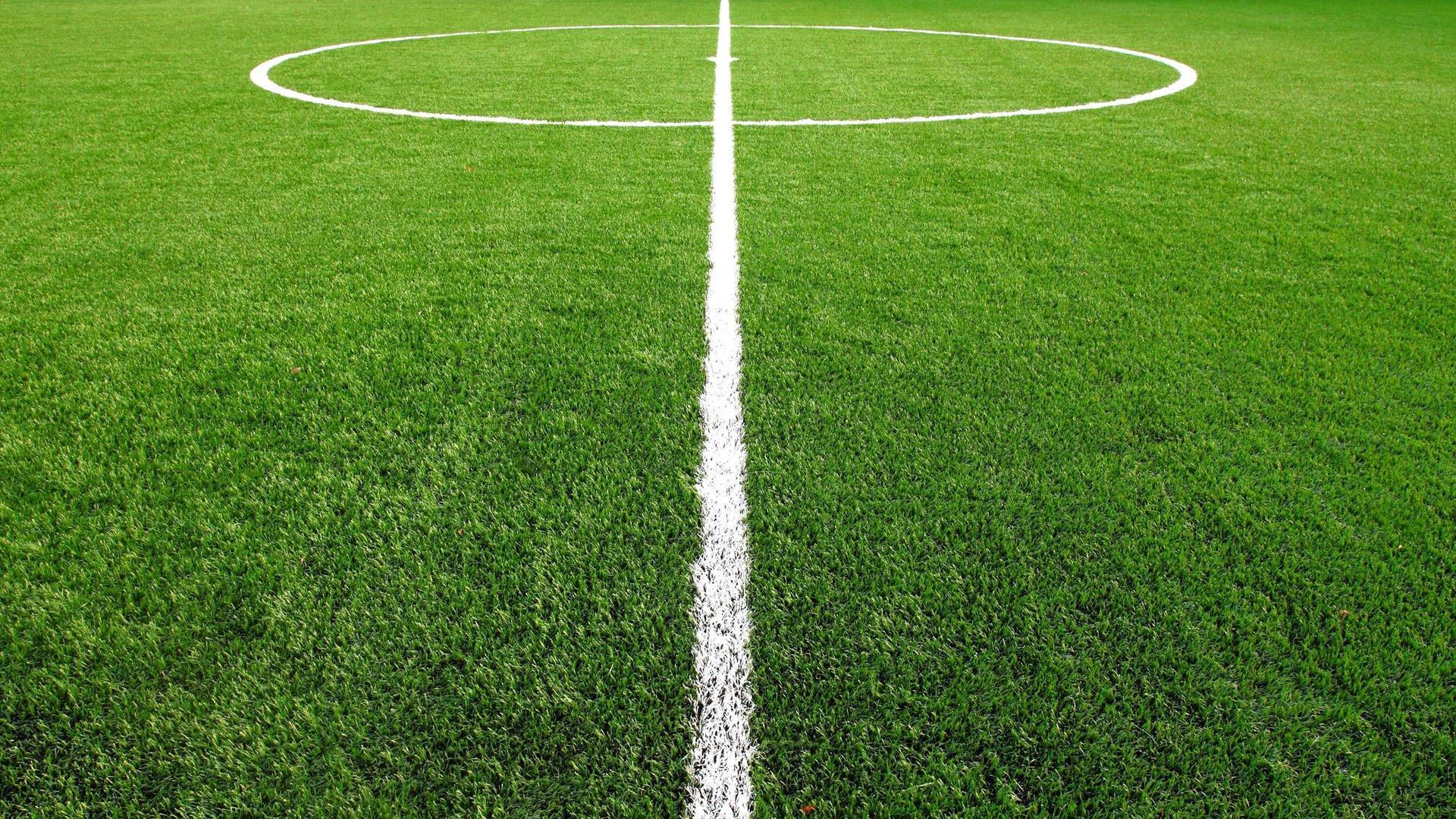 Fútbol español 1ª División (09/10)
