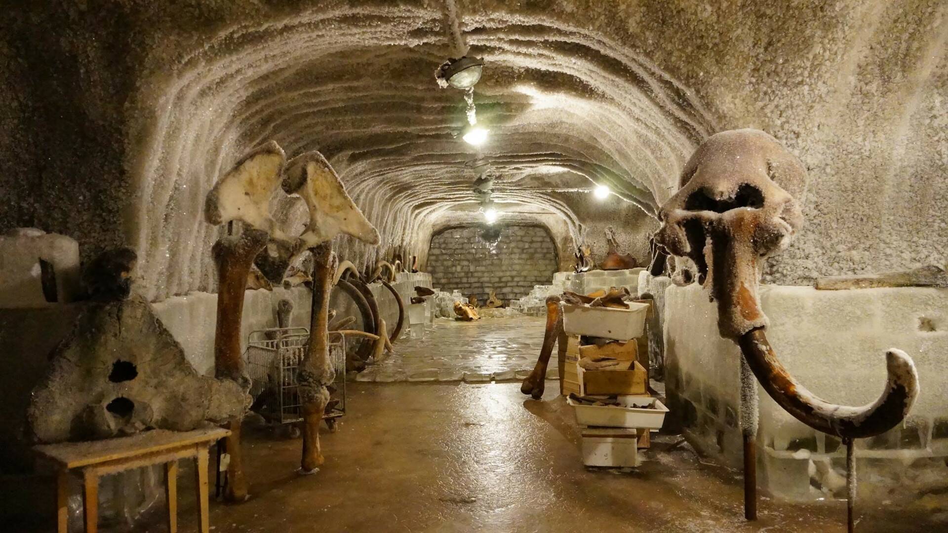 Altamira, el origen del arte