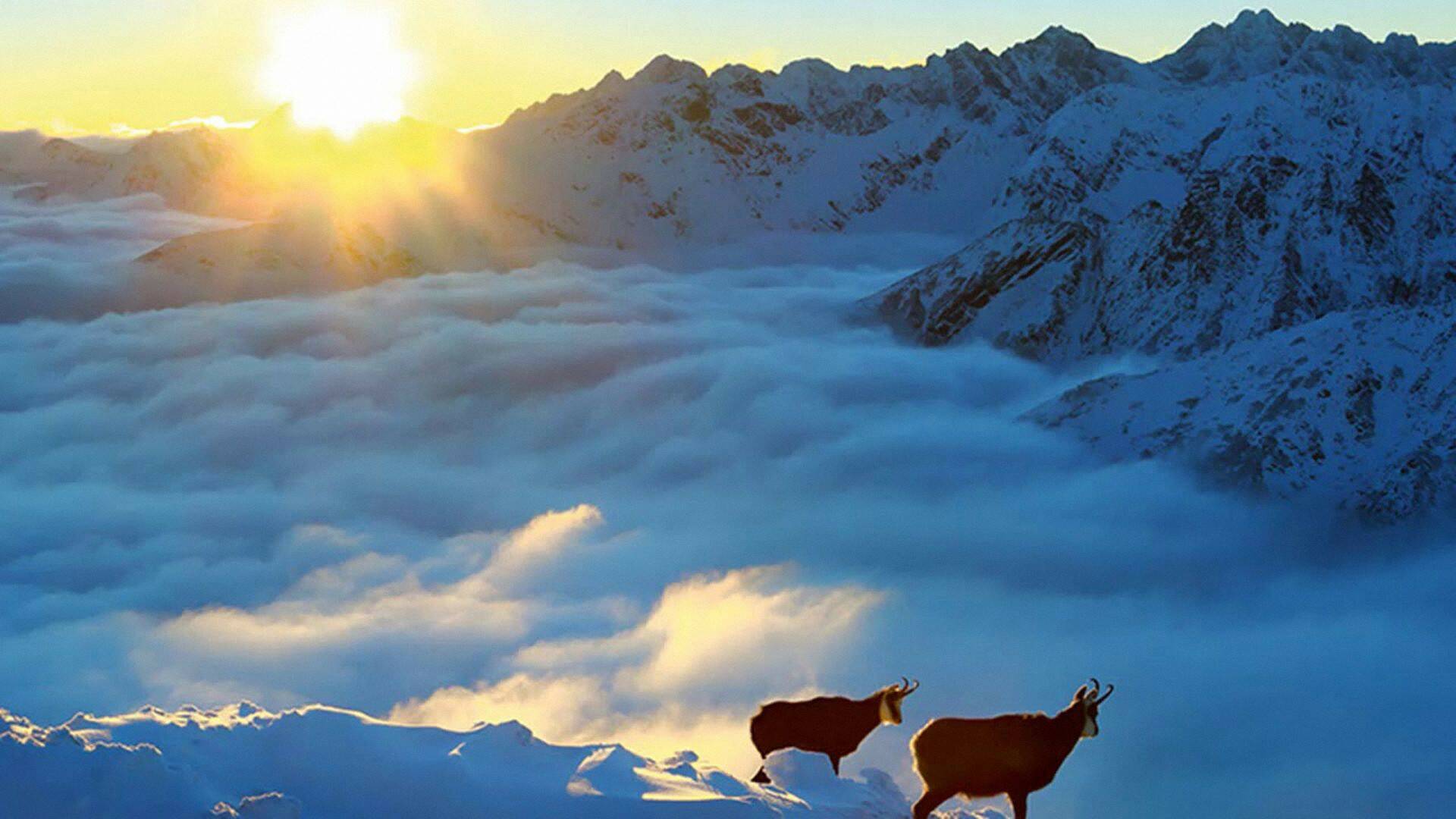 Los montes Tatras