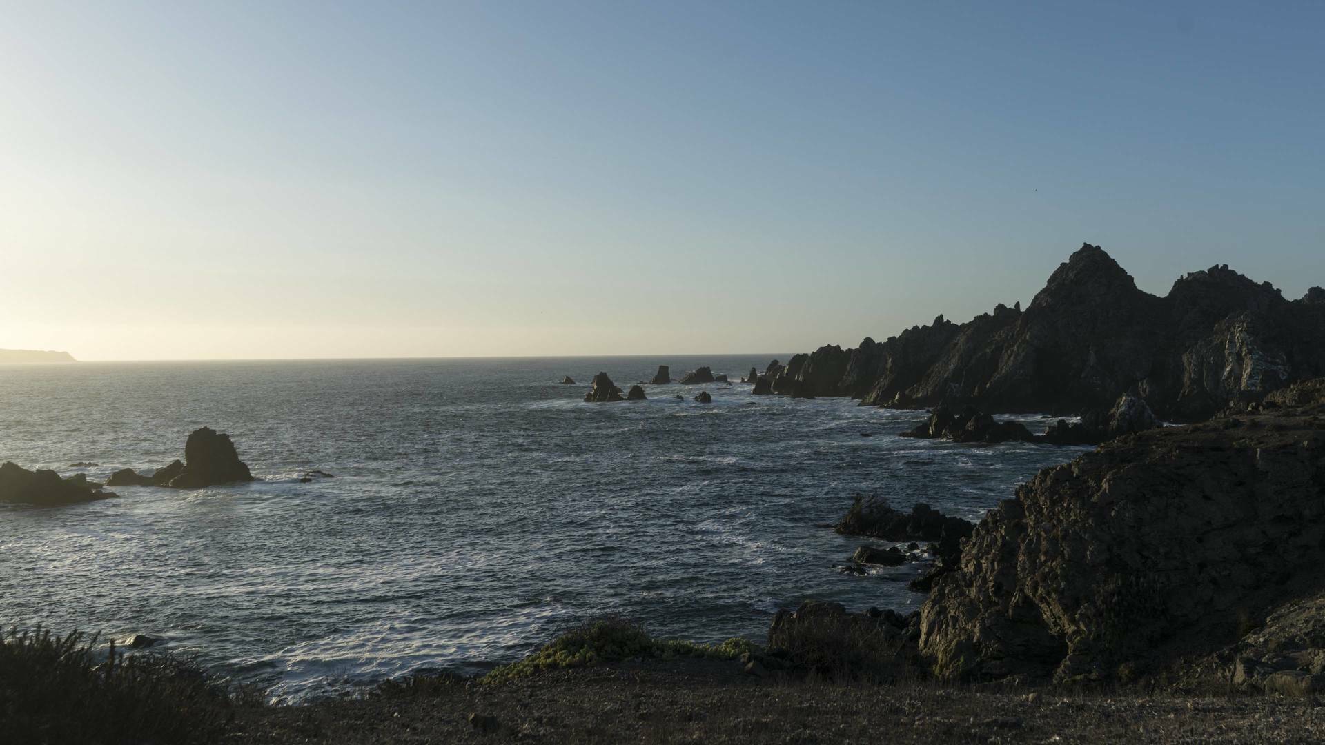 Corriente de Humboldt: el viaje de la ballena