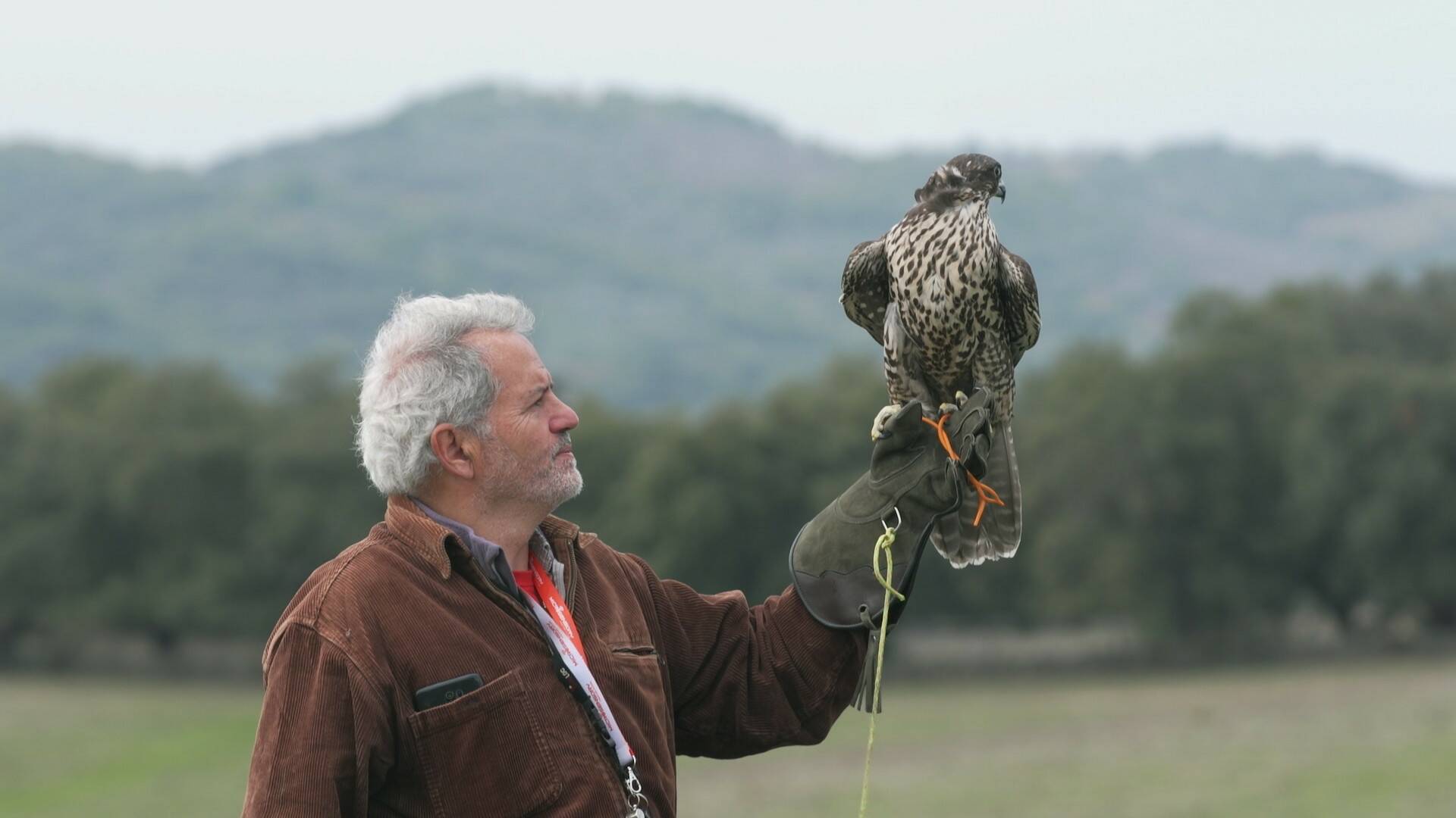 Ruralitas: Artaun (Vizcaya) y Bierge (Huesca)
