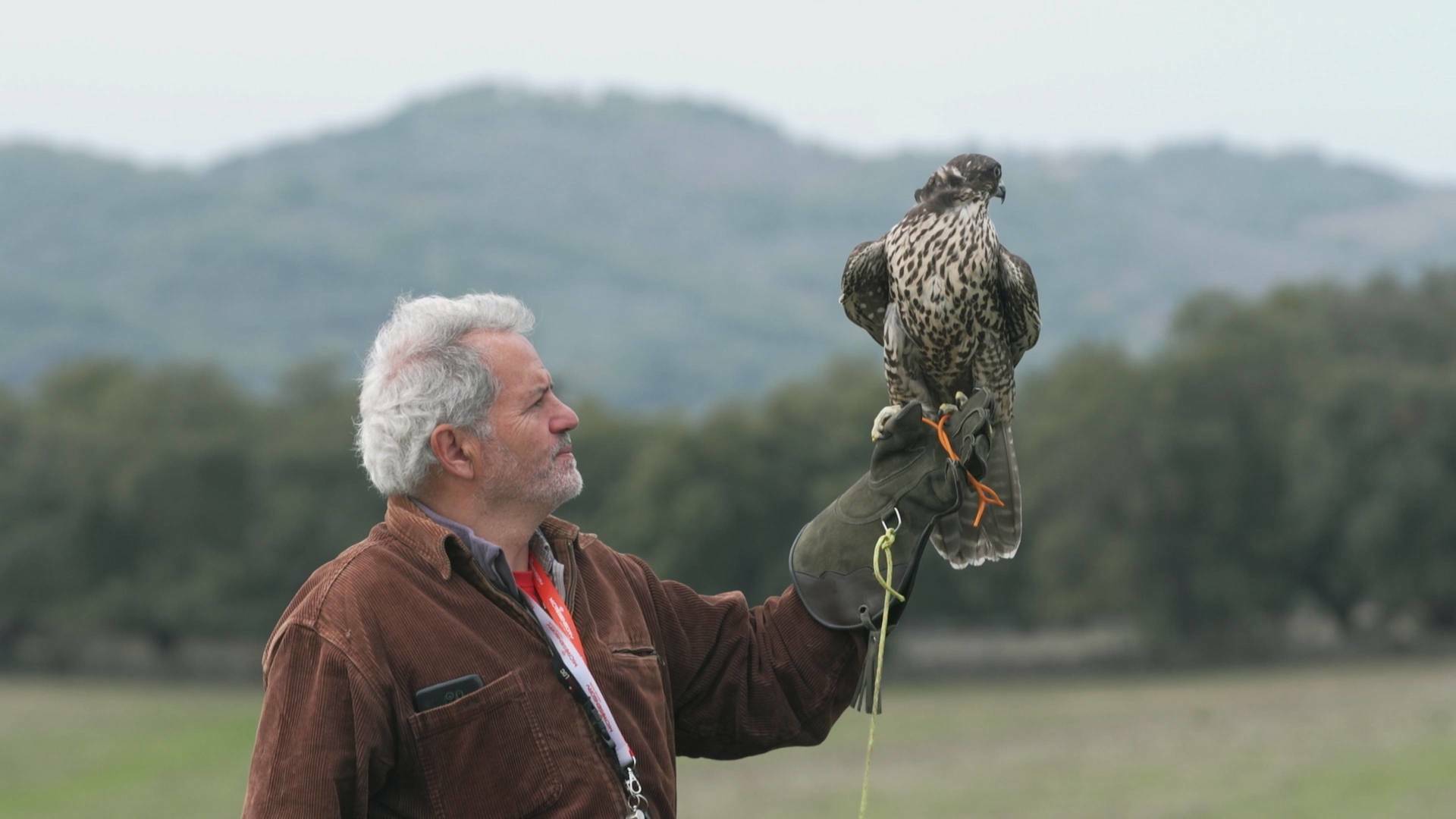 Ruralitas: Larraul (Gipuzkoa) y San Nicolás del Puerto (Sevilla)