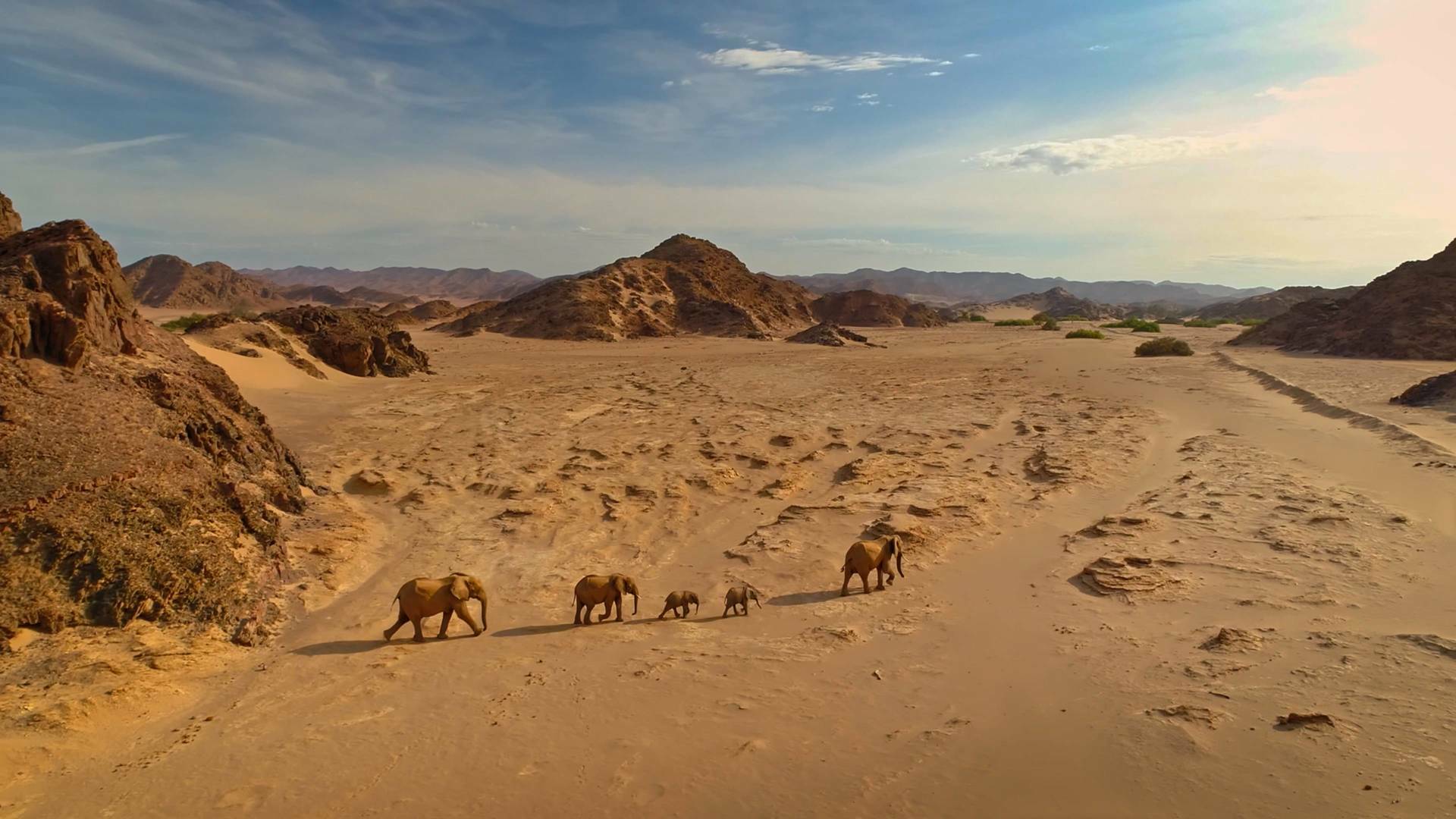 El Kalahari, la...: Ep.1