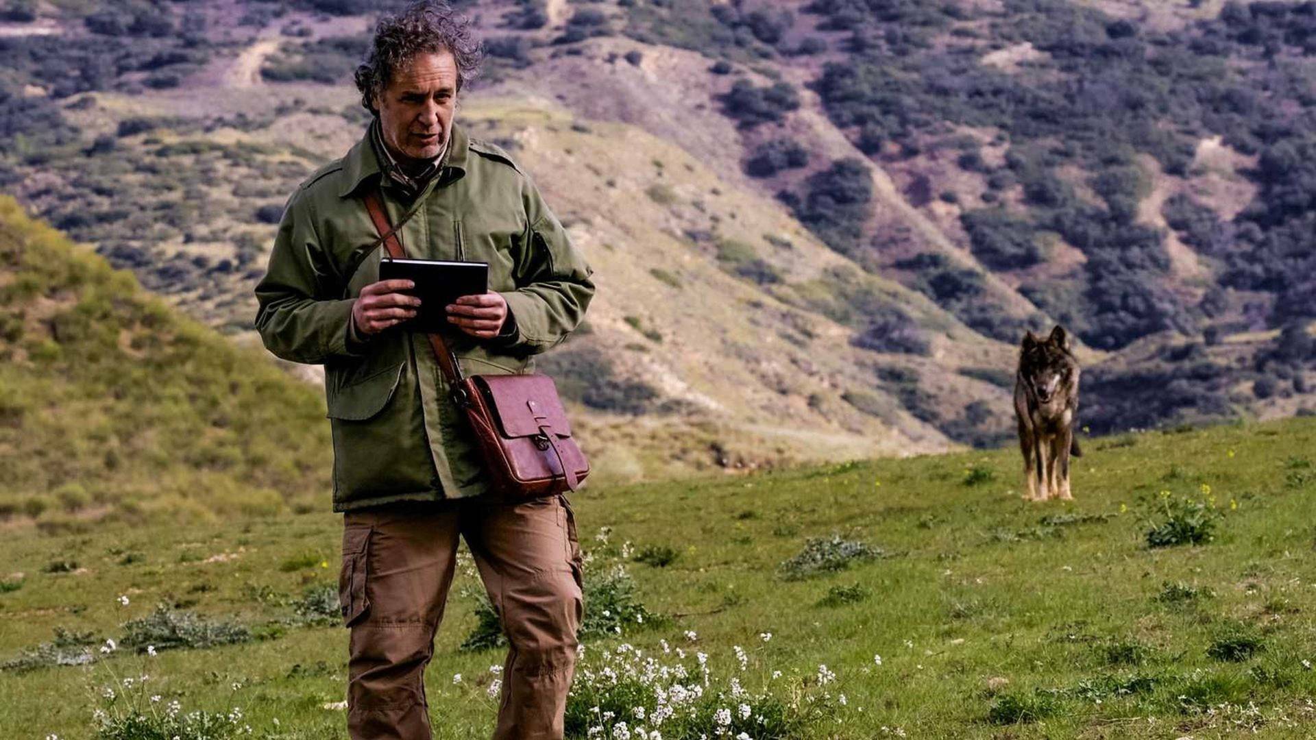 Cuaderno de campo: Lobo