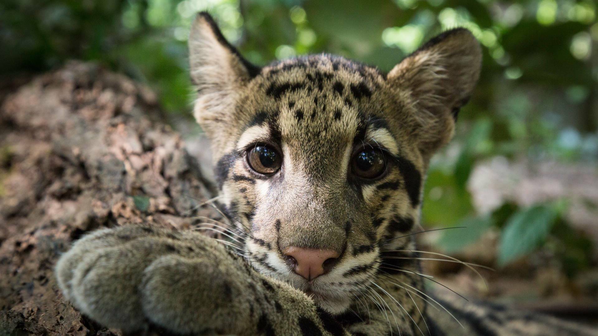 Un día en la naturaleza