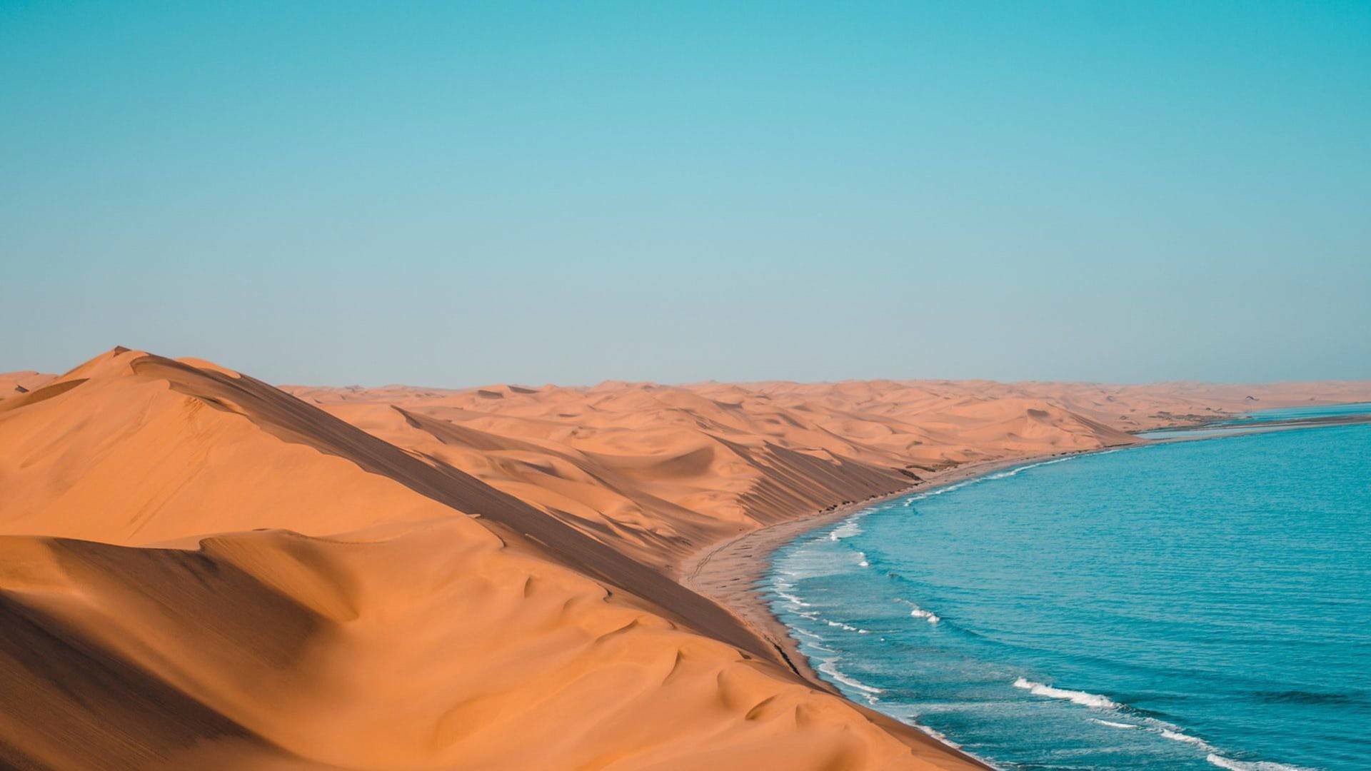 Namibia la vida en la arena