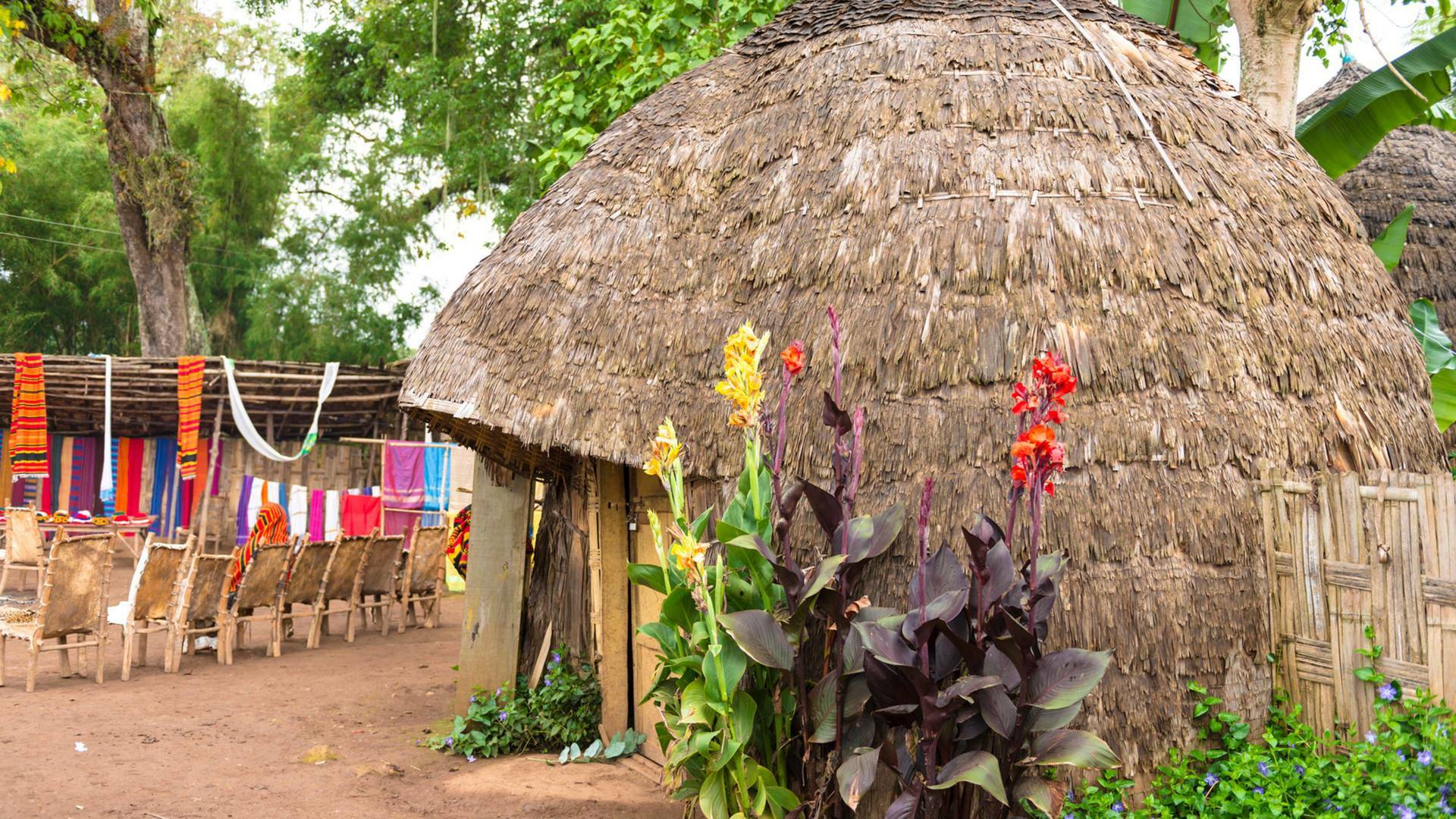 Sin equipaje: Uganda: granja de Angkoles