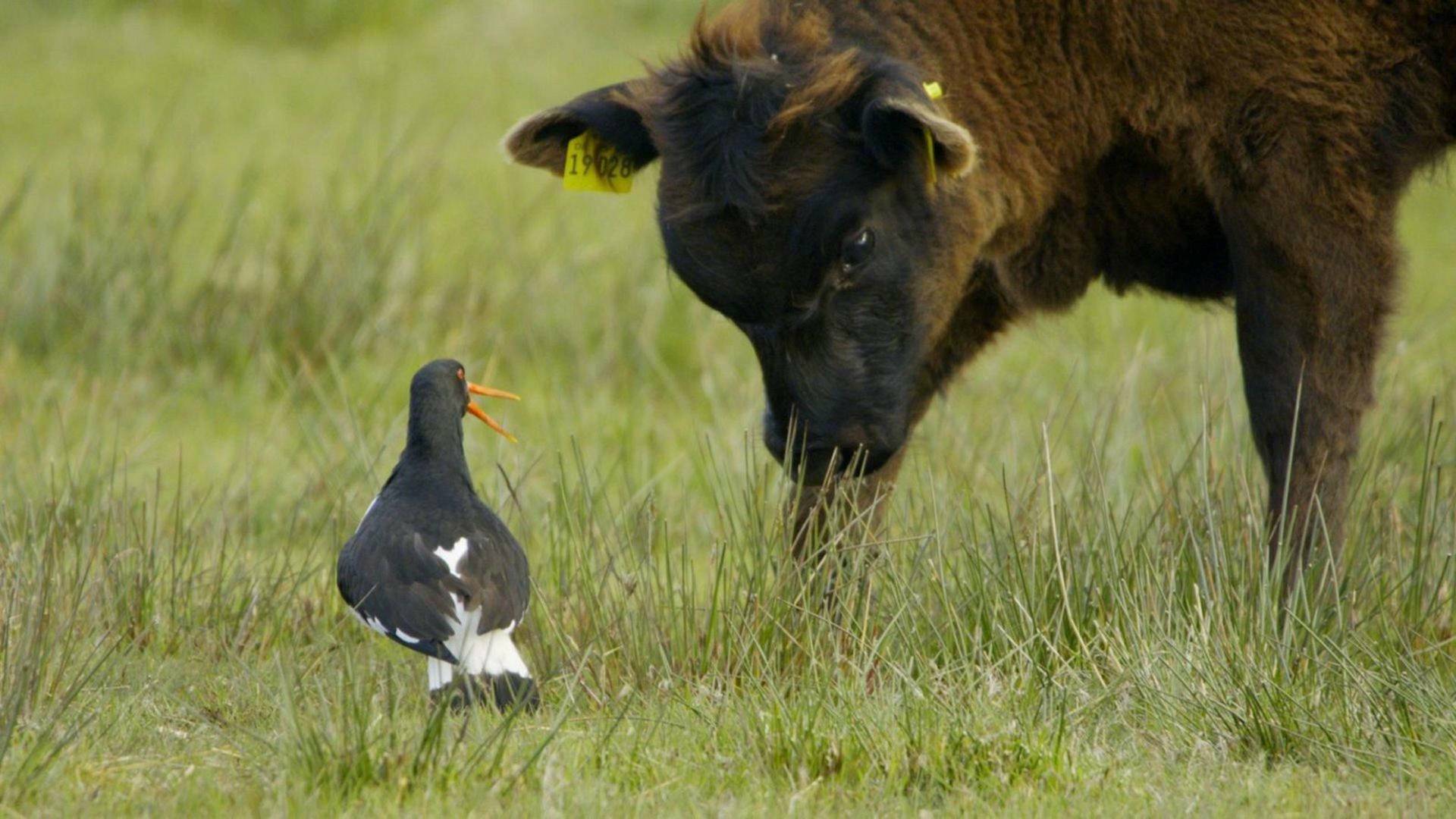 Defender a la familia