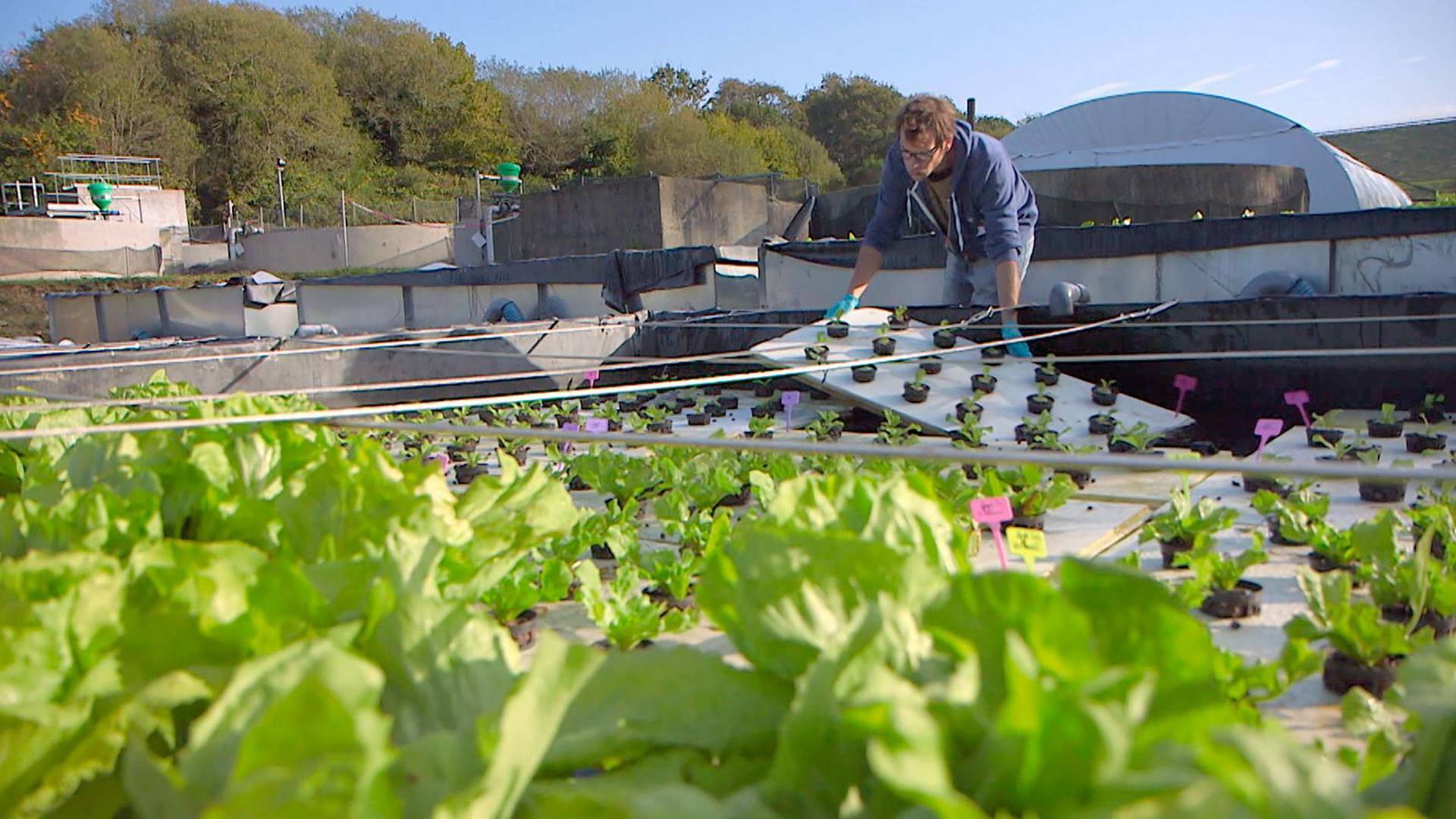 Forjadores del mañana: Proteger la biodiversidad