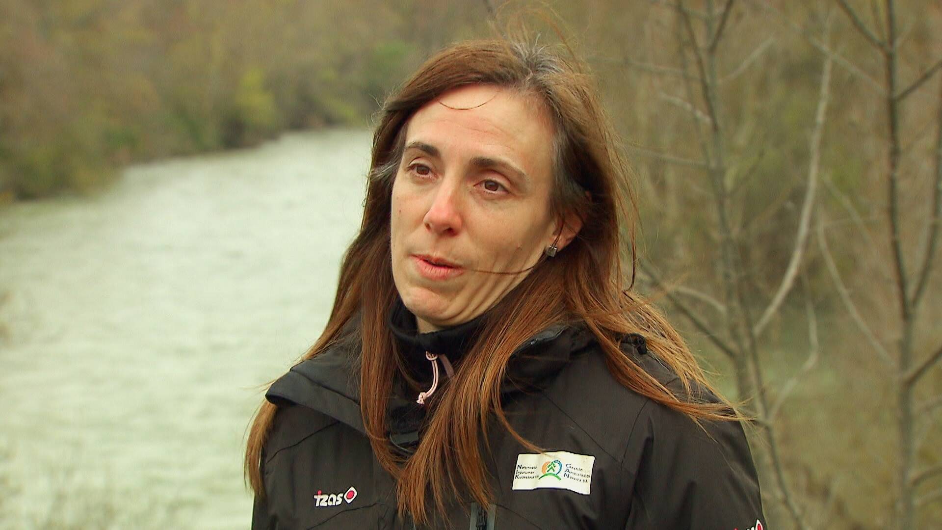 El escarabajo verde: Maestros del agua