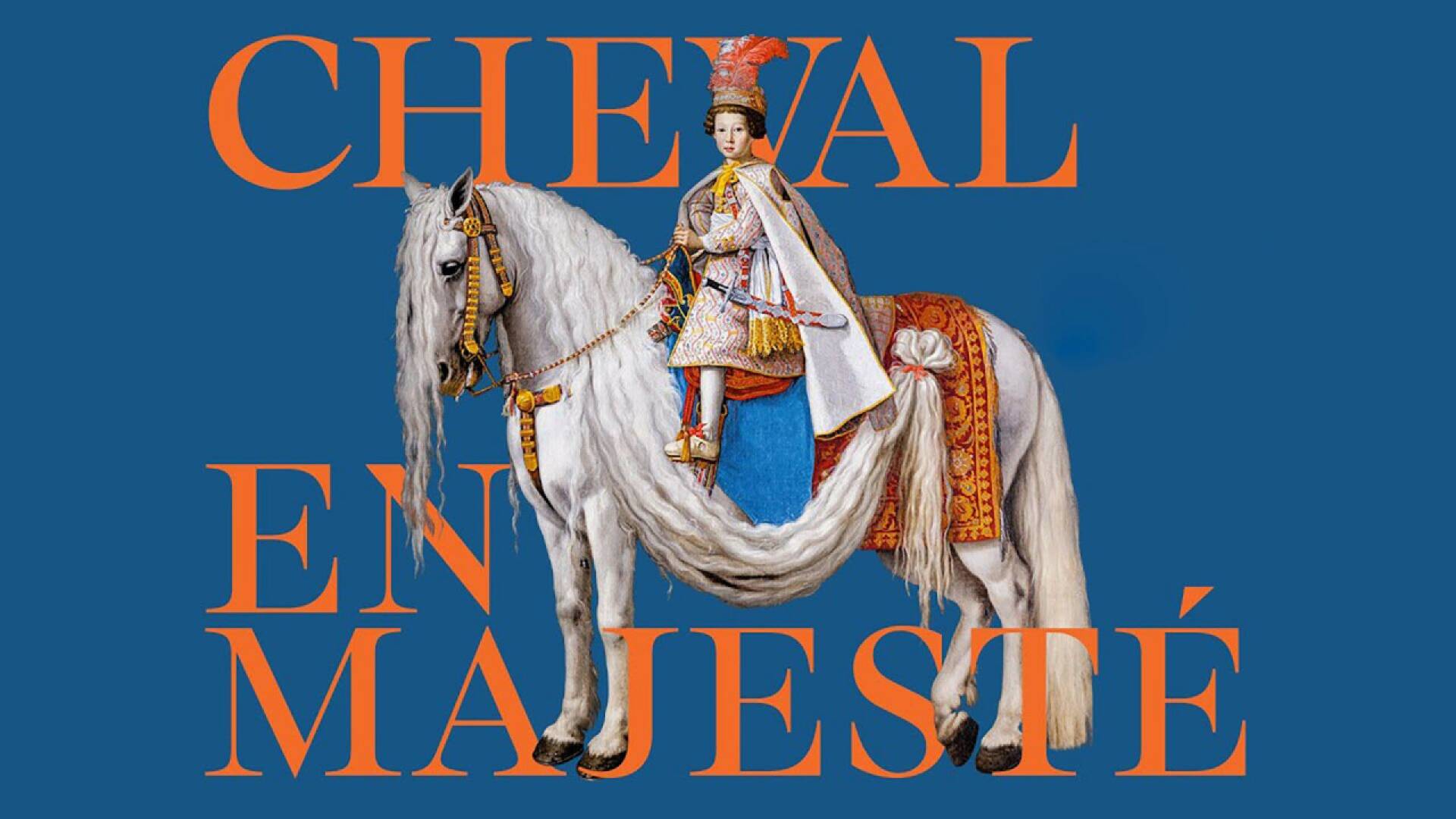 Su majestad el caballo
